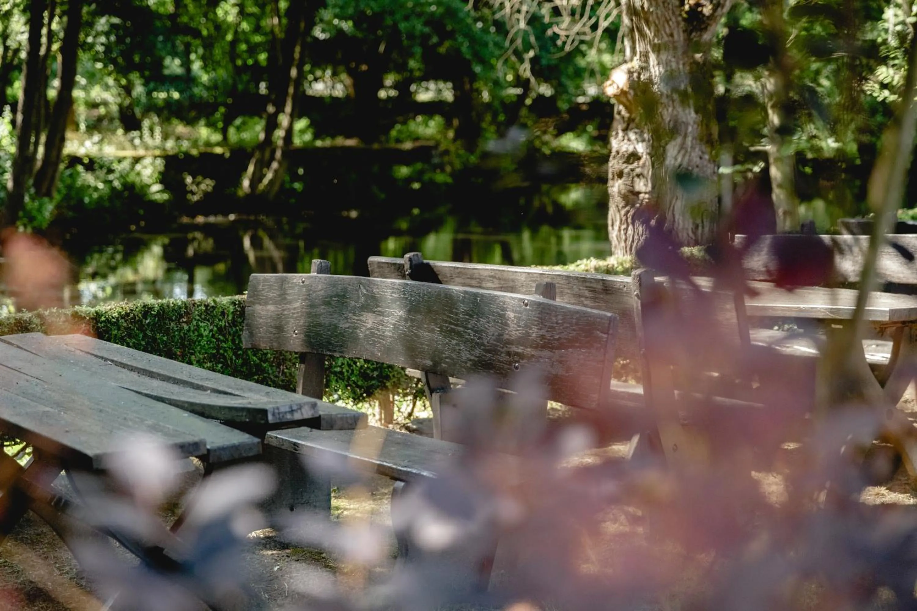 Staff in Hotelpark der Westerwald Treff