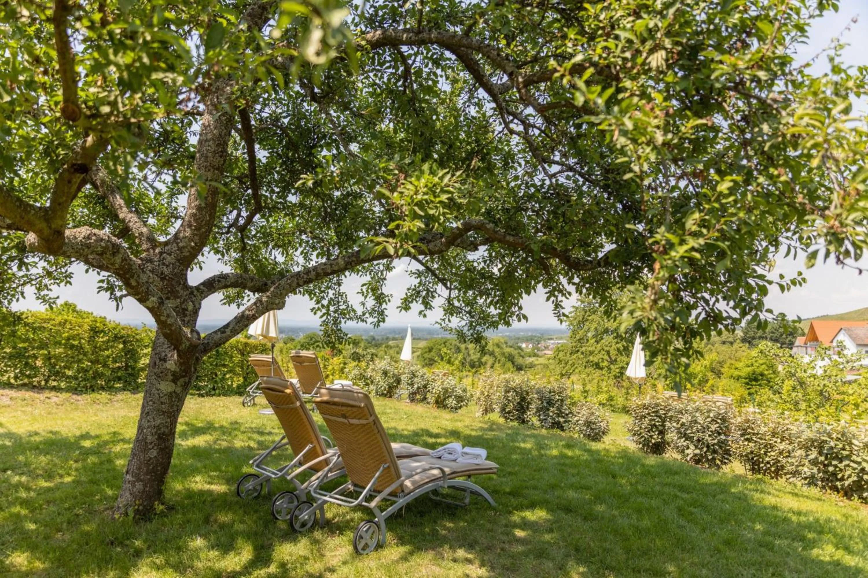 sunbed in Hotel Rebenhof