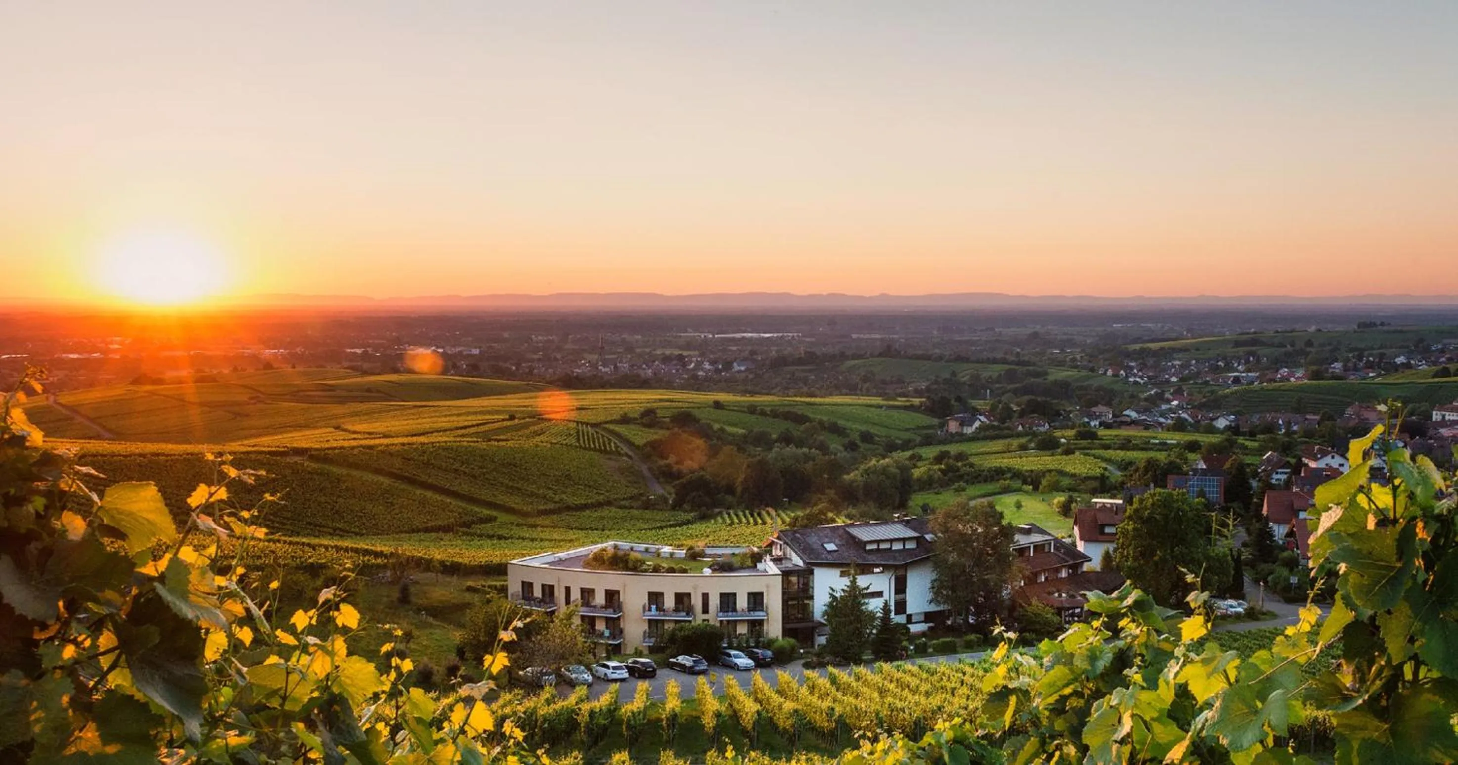 Bird's eye view in Hotel Rebenhof