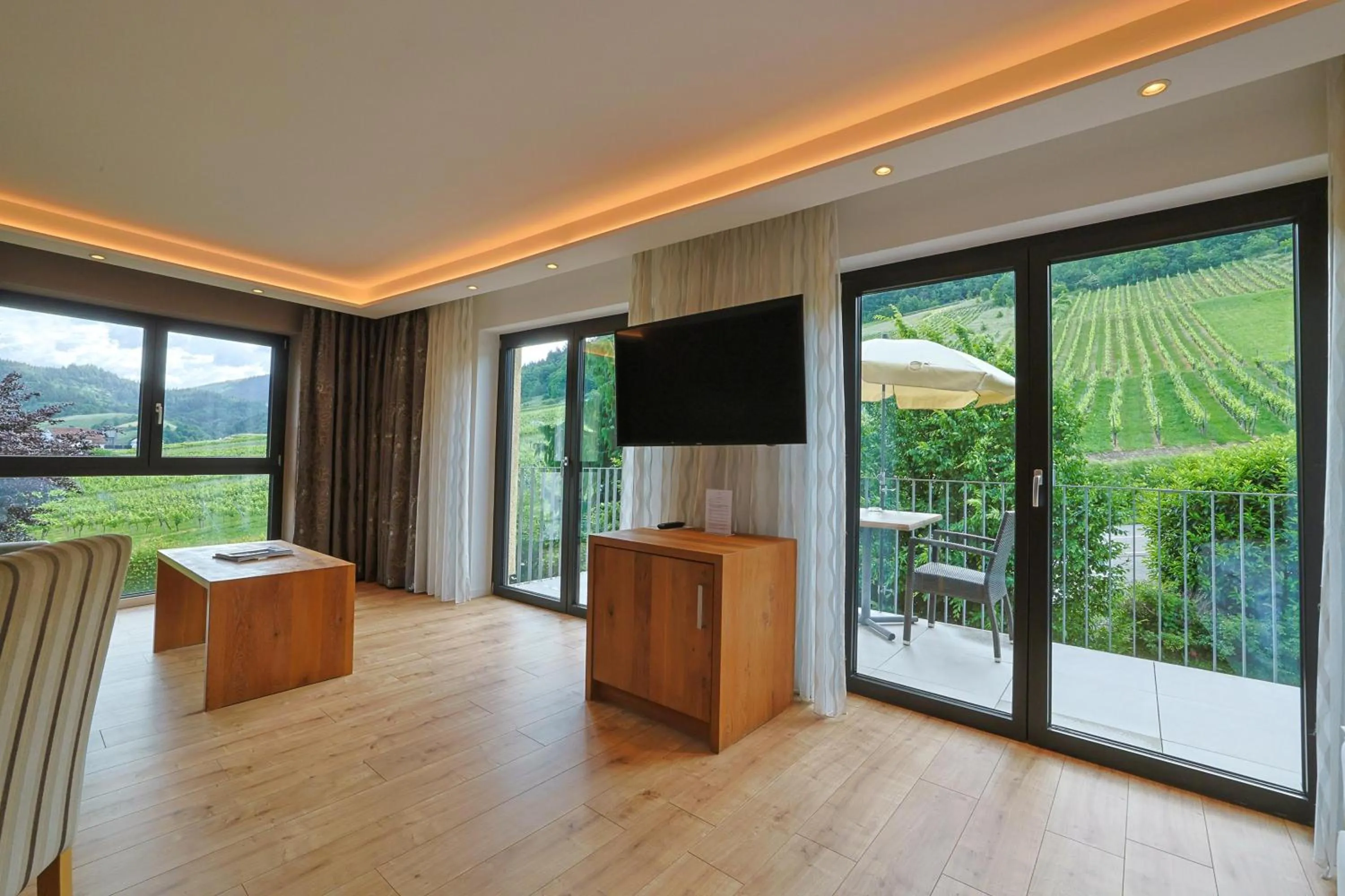 TV and multimedia in Hotel Rebenhof