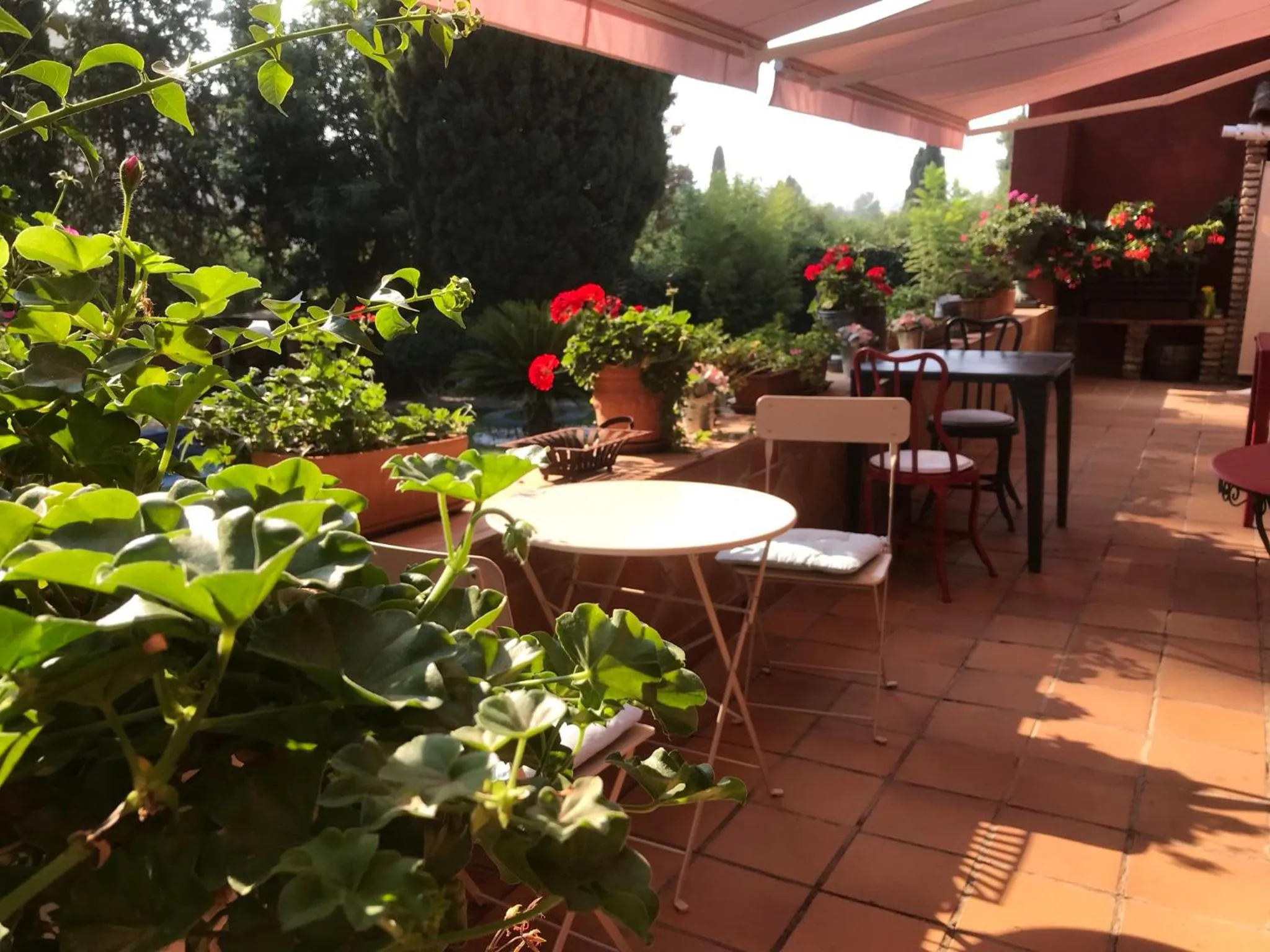 Balcony/Terrace in Casa Paraíso Boutique B&B