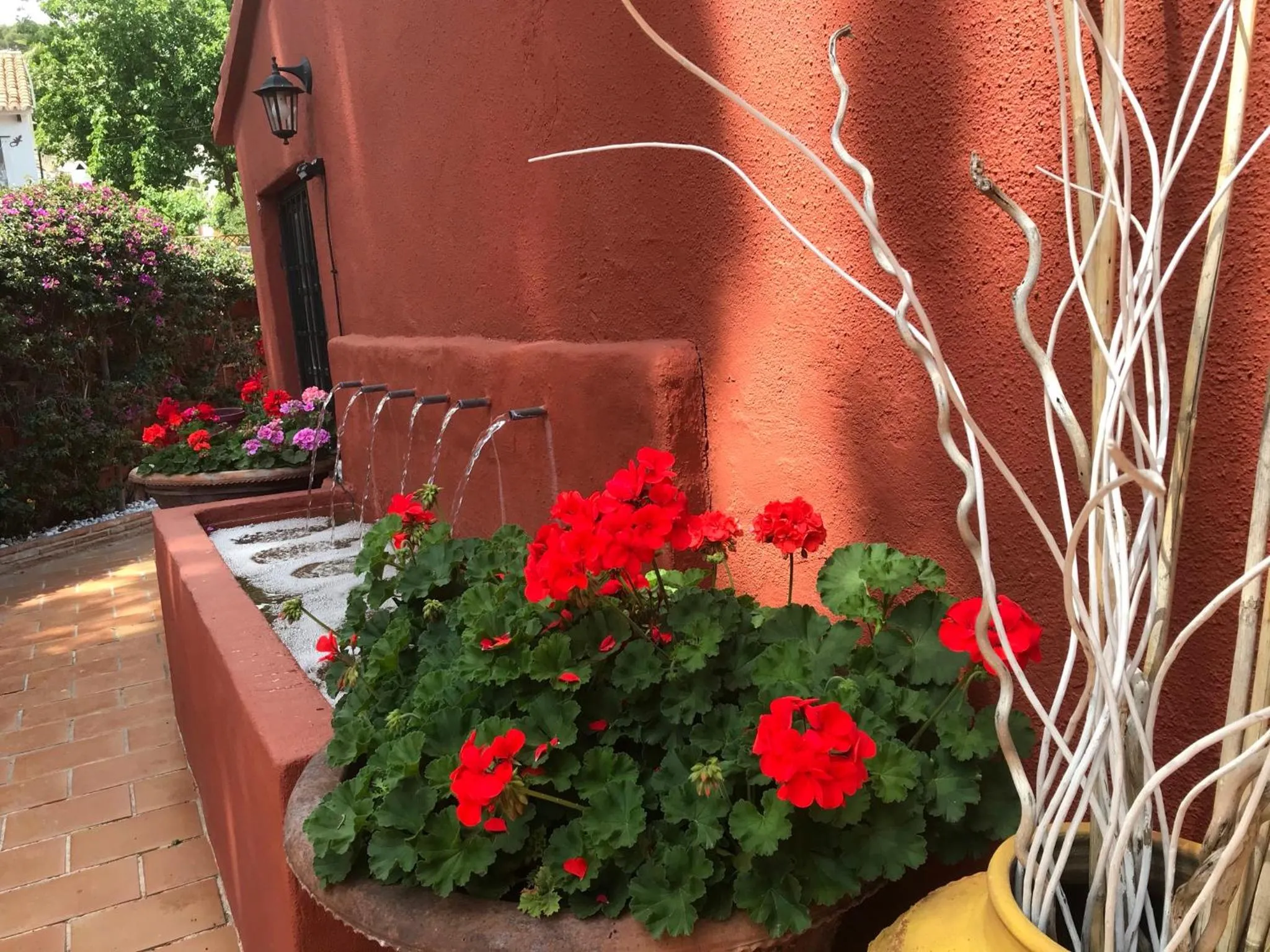 Patio in Casa Paraíso Boutique B&B