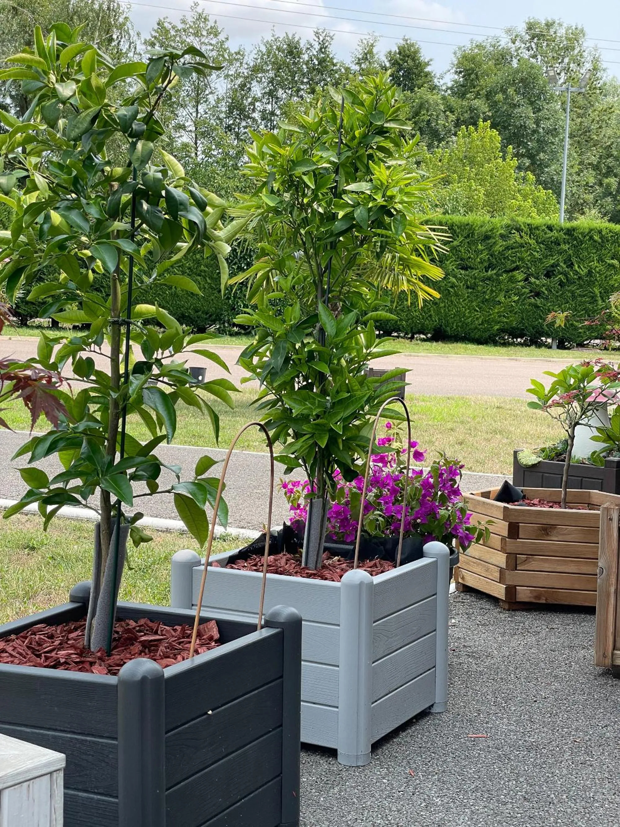 Garden in Eqynox Hotel