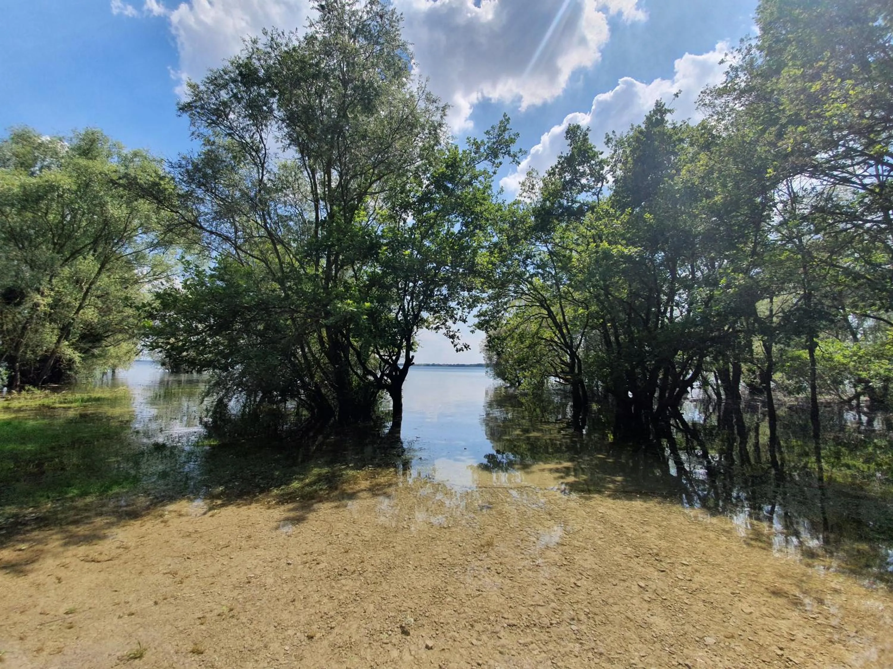Nearby landmark in Eqynox Hotel