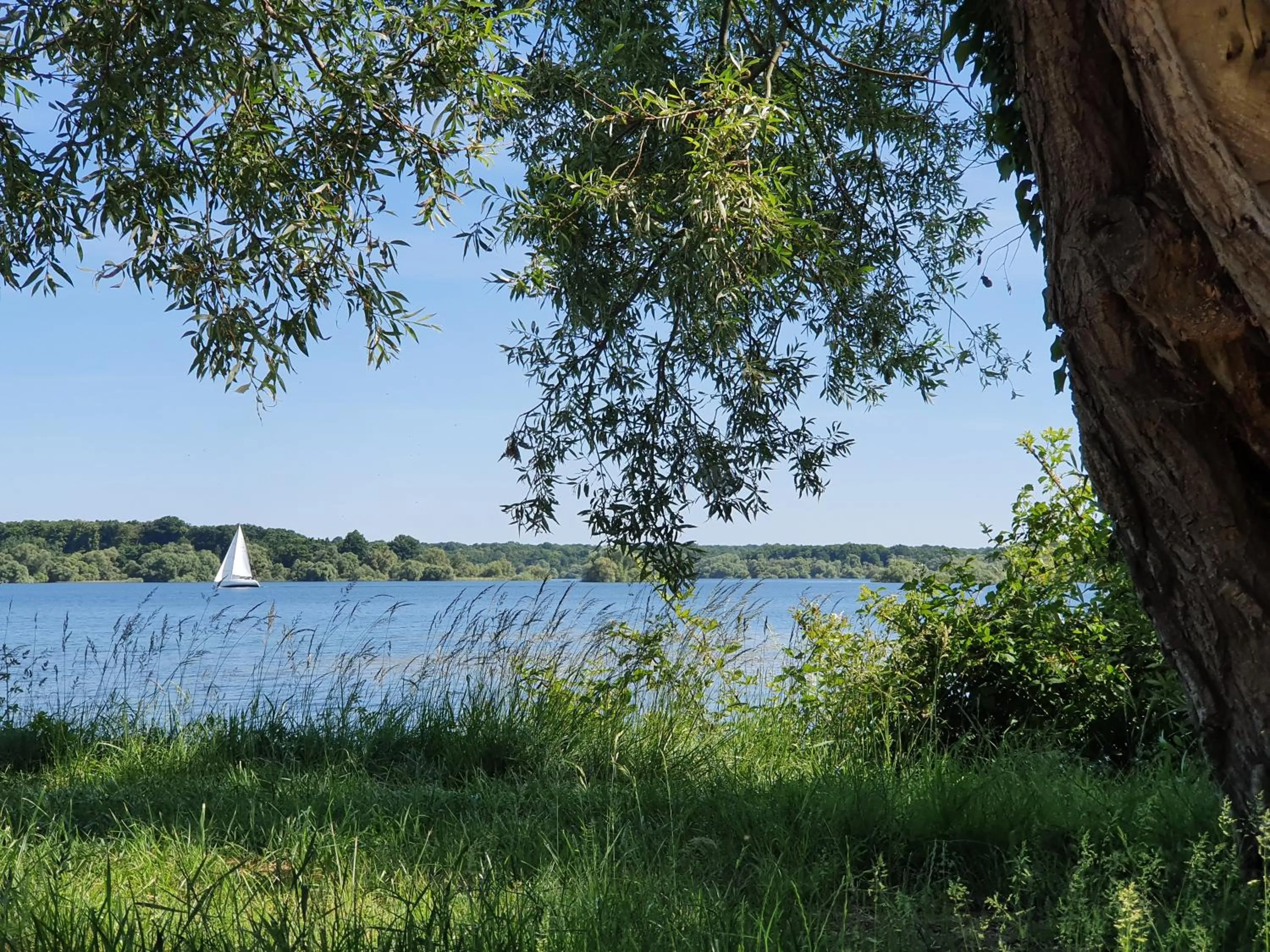 Natural landscape in Eqynox Hotel