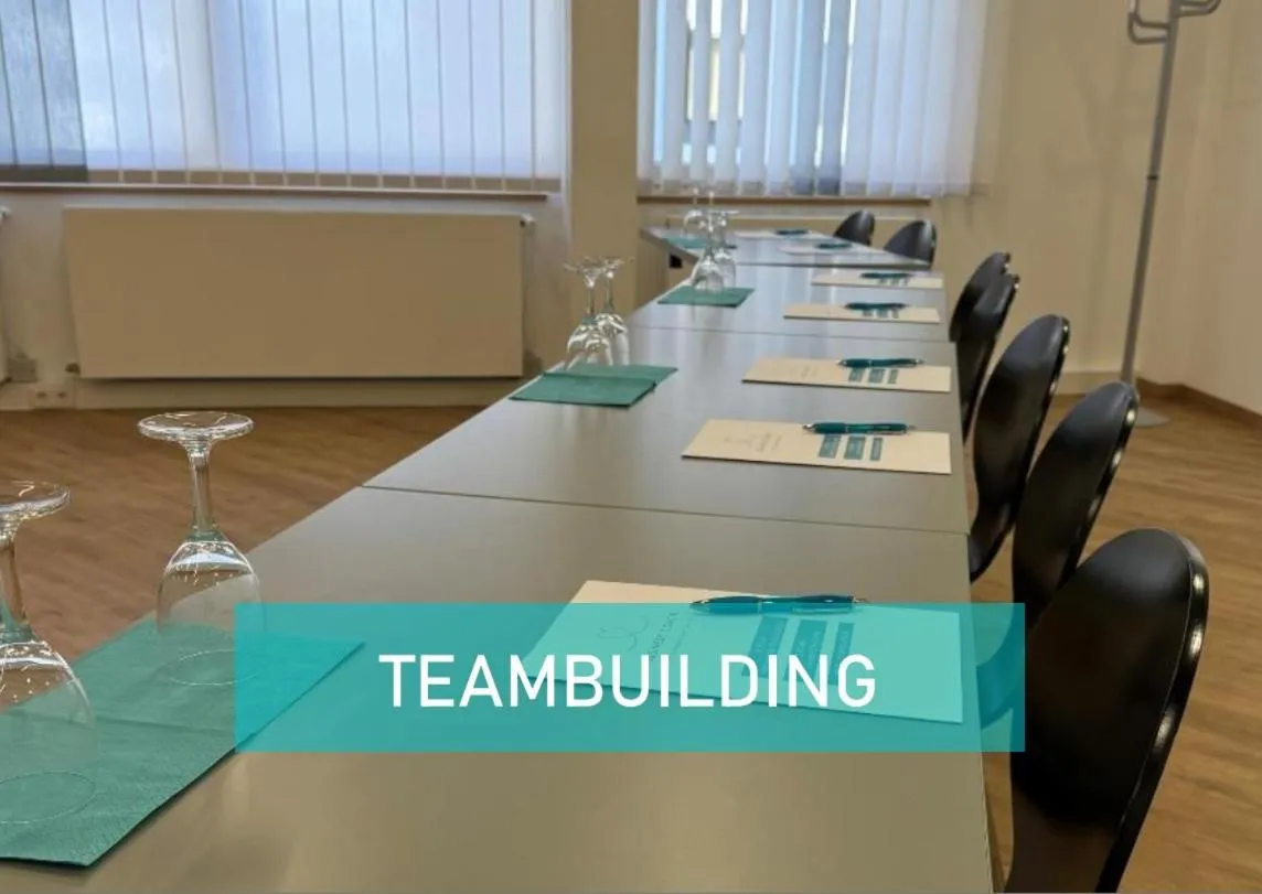 Meeting/conference room in Bodensee Yachthotel Schattmaier