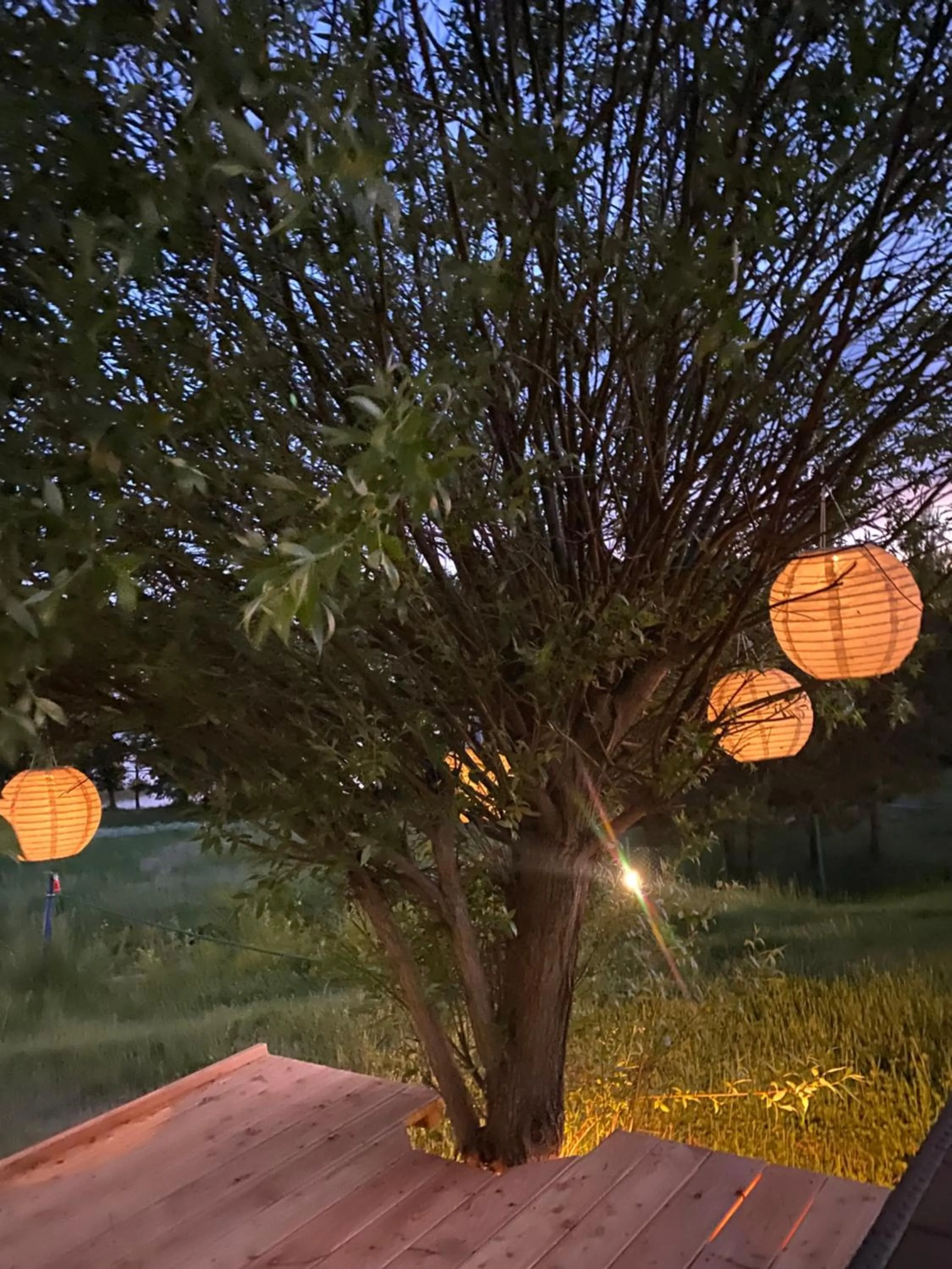 Garden view in Pensjonat Rybical