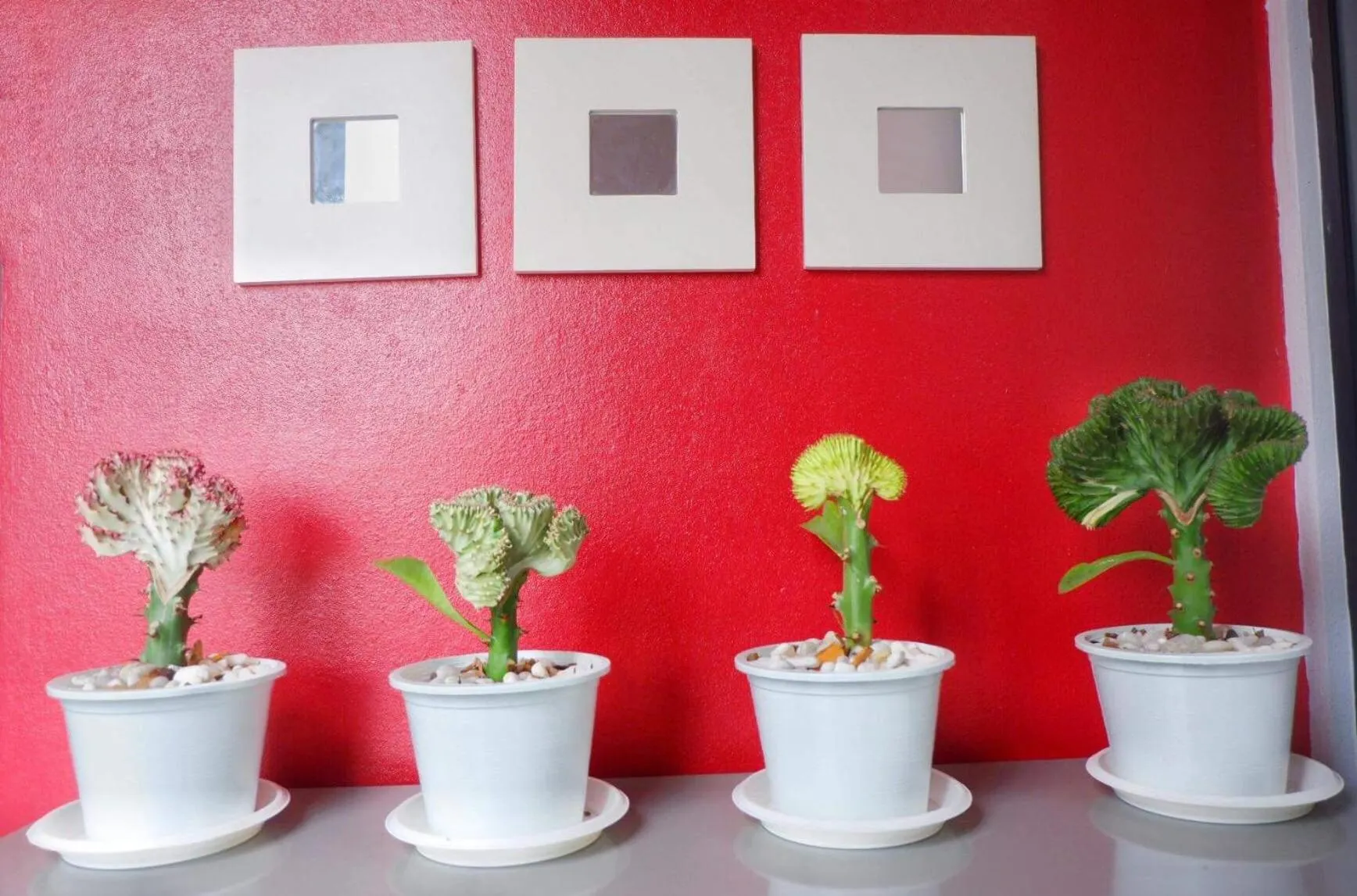 Rin GuestHouse Pracharak RD