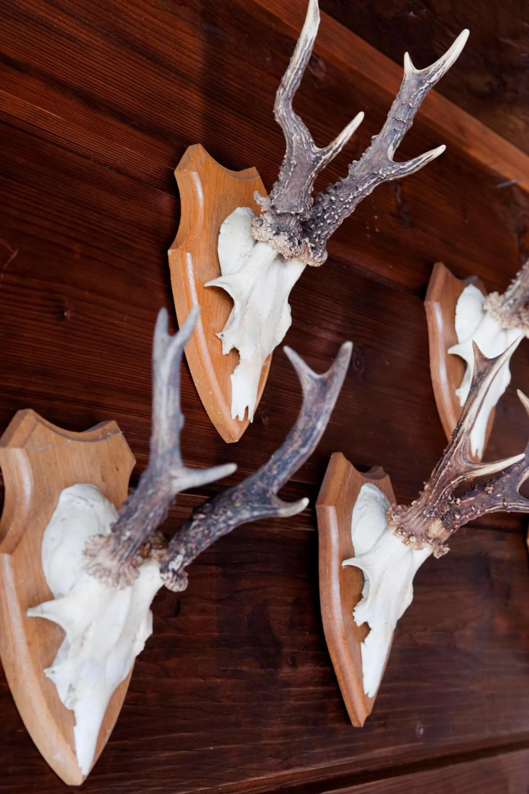 Decorative detail in Relais & Châteaux Gut Steinbach Hotel Chalets SPA