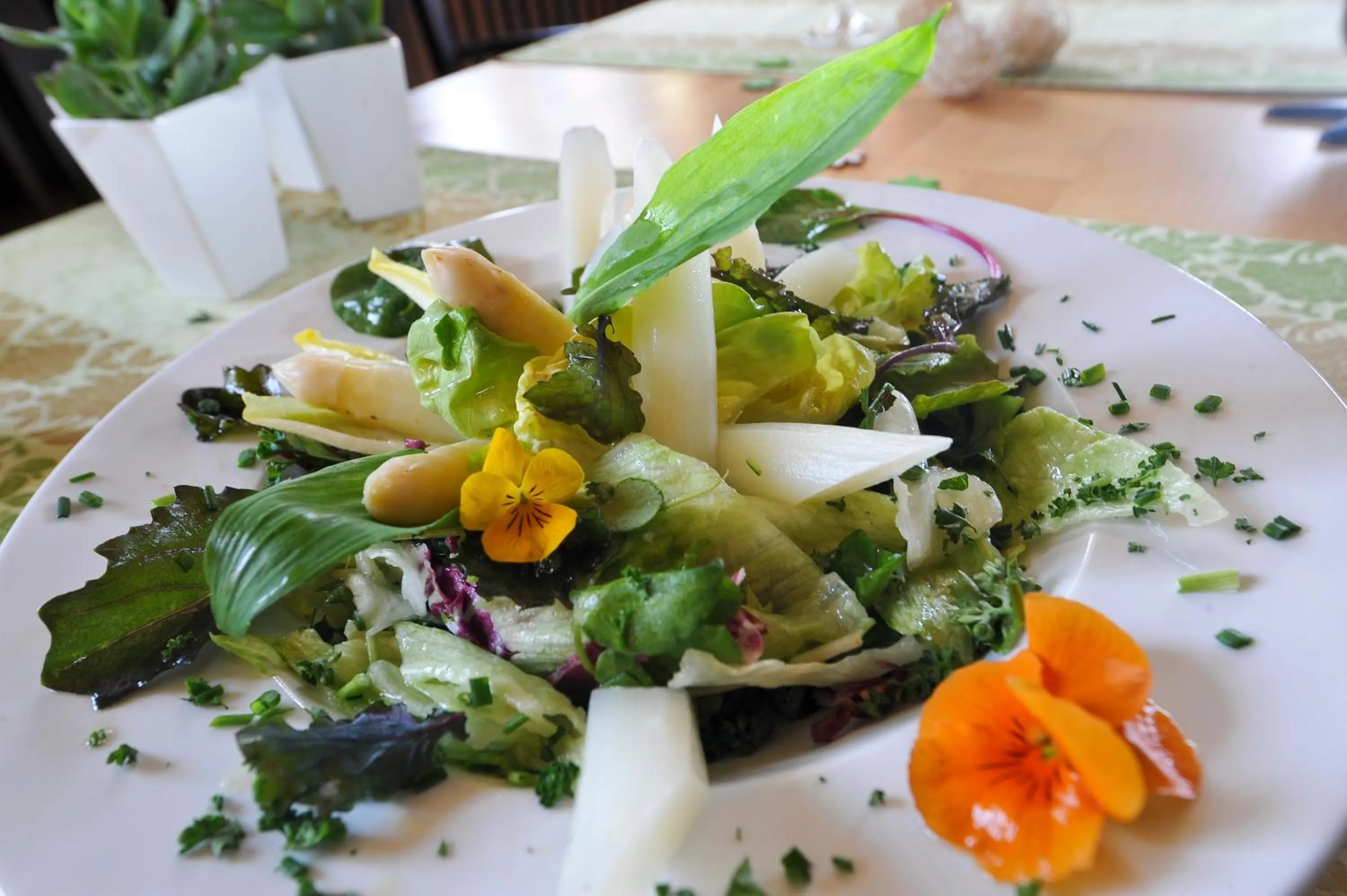 Food close-up in Steinbergs Wildewiese NaturHotel
