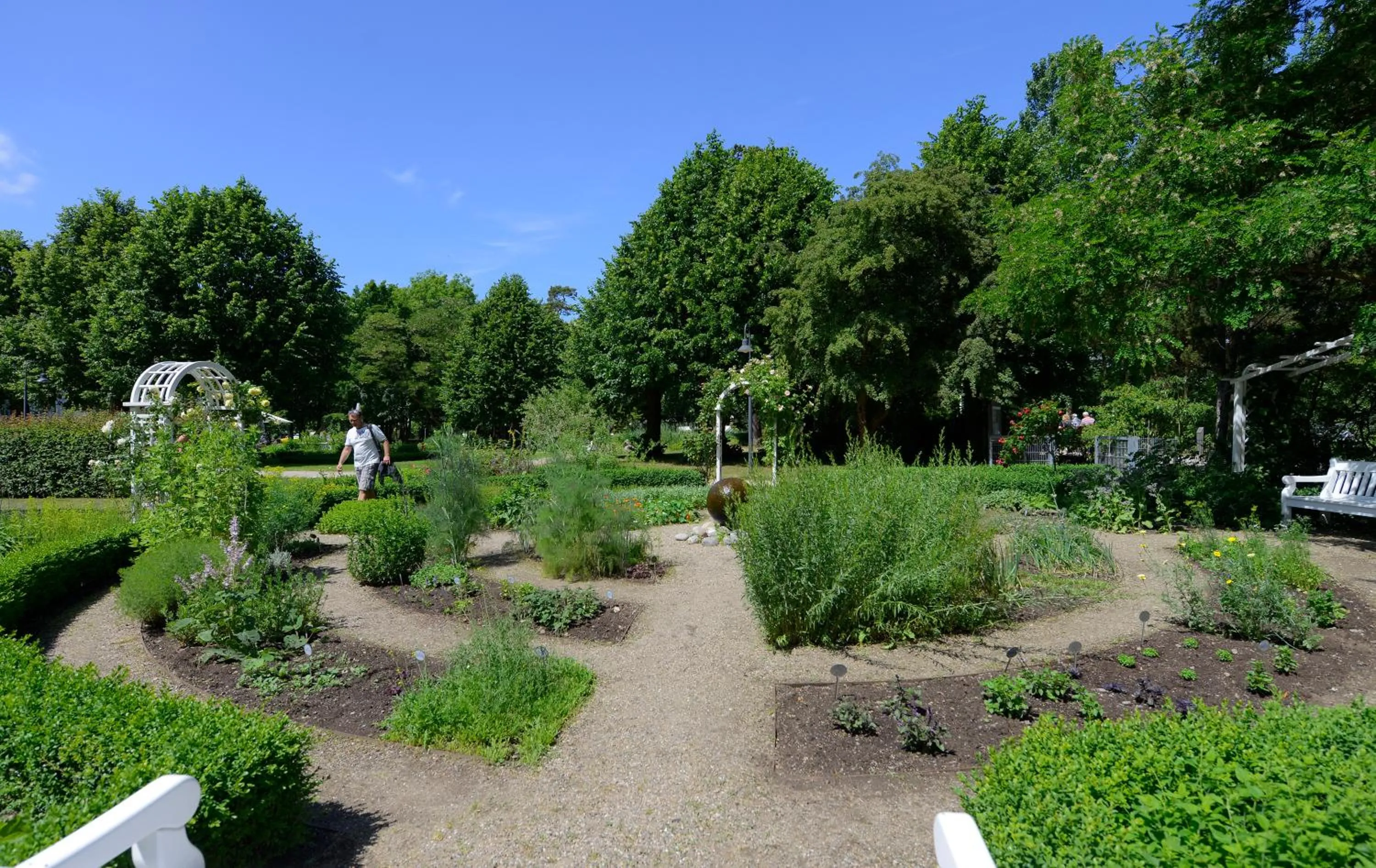 Garden in Seehotel Grossherzog von Mecklenburg