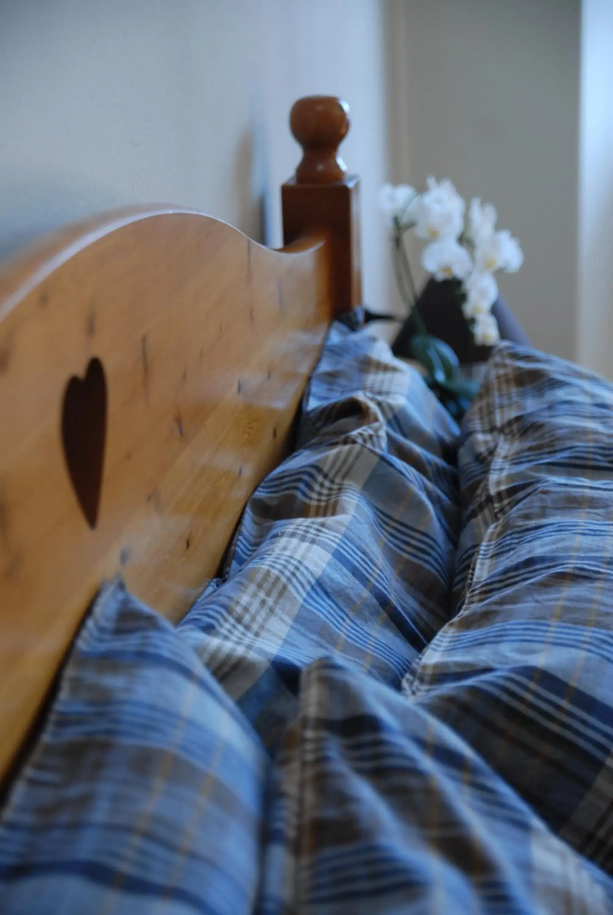 Executive Suite - single occupancy in Bed & Breakfast Castello Regina Executive Suite - single occupancy in Bed & Breakfast Castello Regina