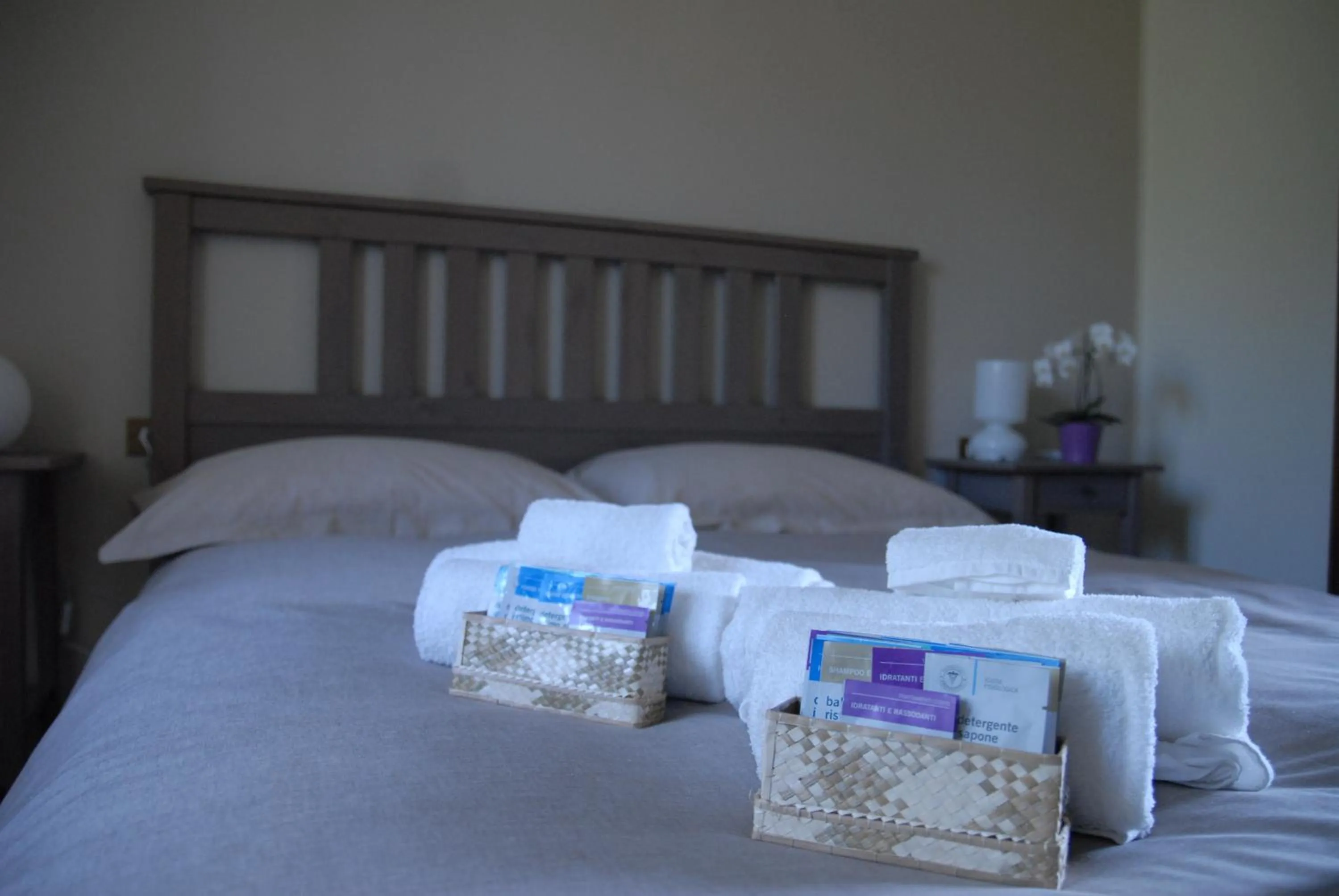 Bed in Bed & Breakfast Castello Regina