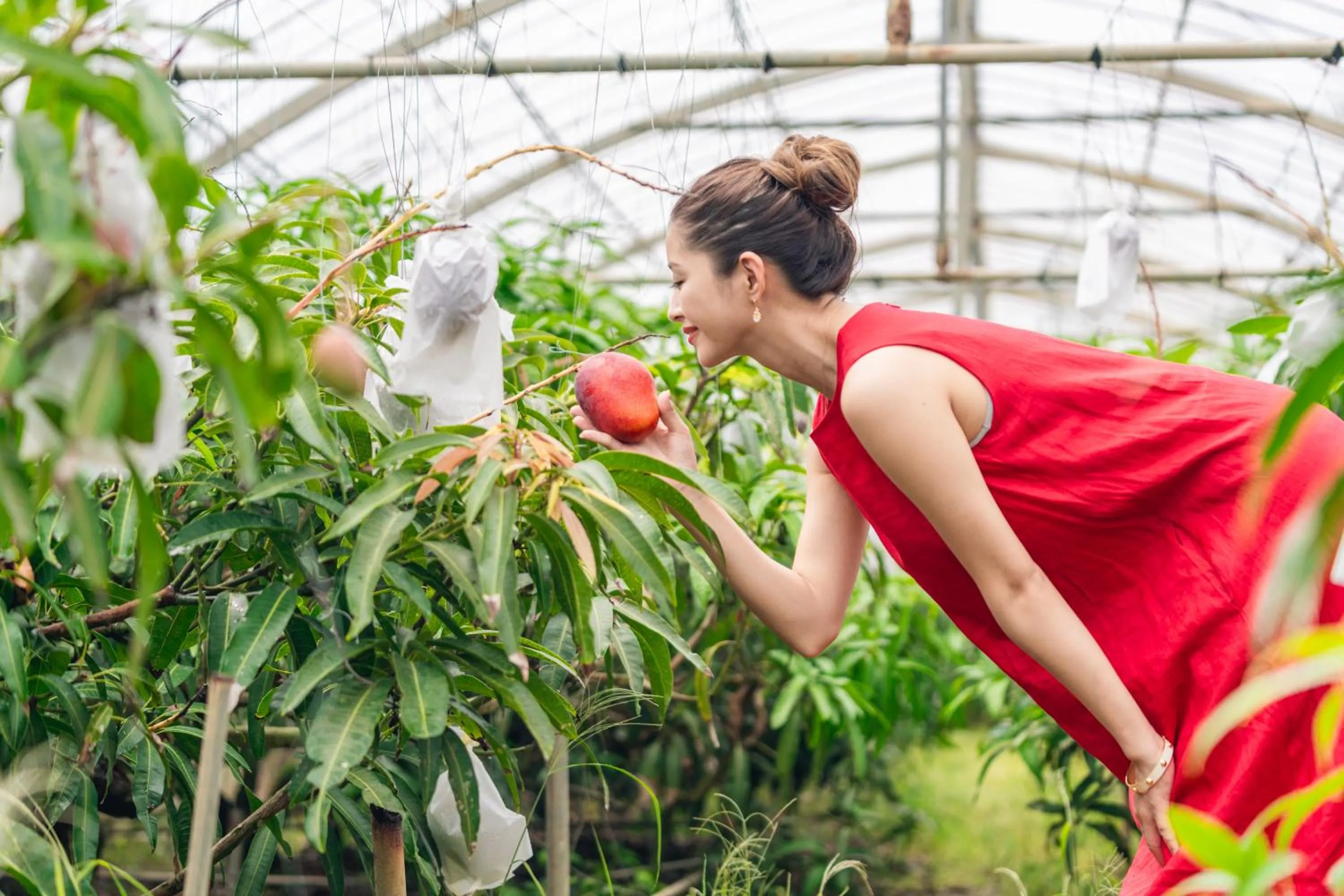 Nearby landmark in Ecot Irabu Bridge Premier