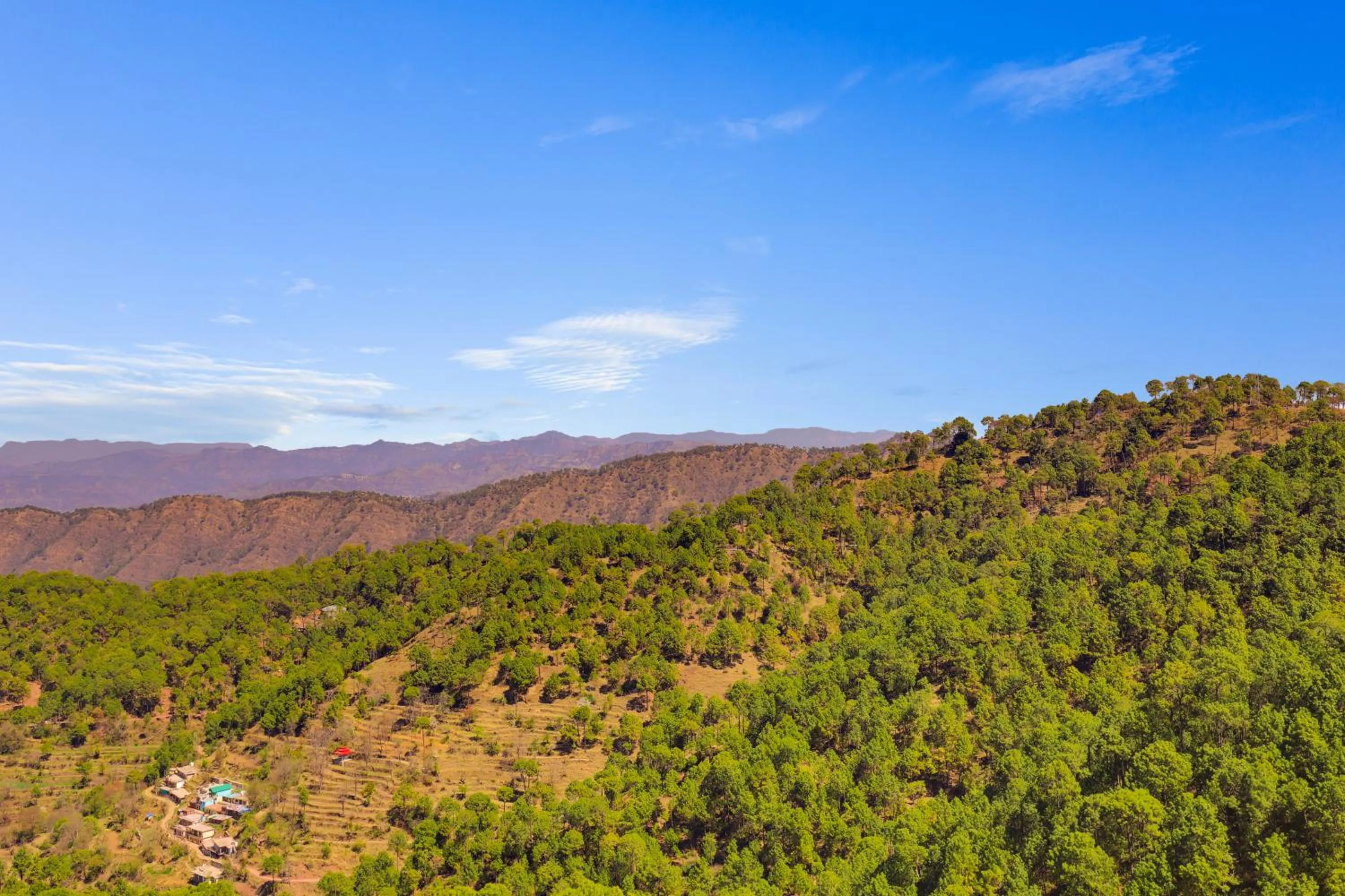 View (from property/room) in Lemon Tree Hotel, Kasauli