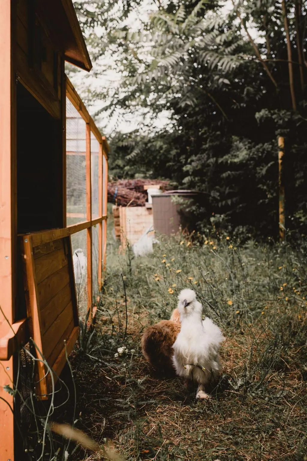 Garden in Hotel Restaurant La Musardiere