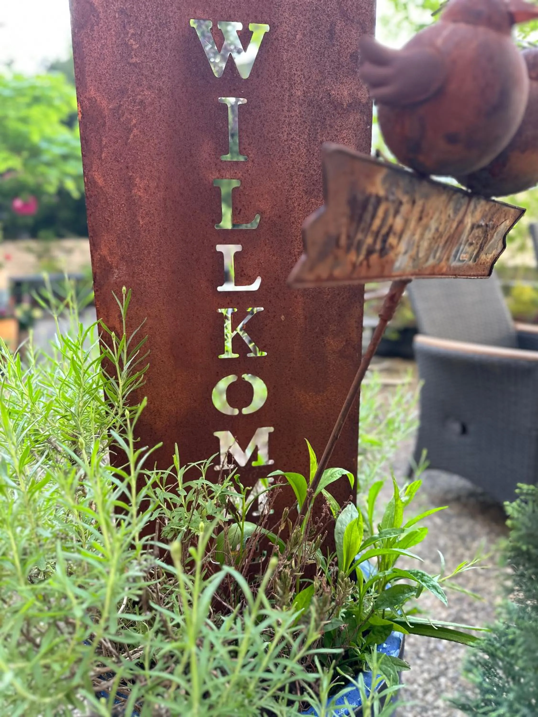 Garden in Hotel Cascade Superior