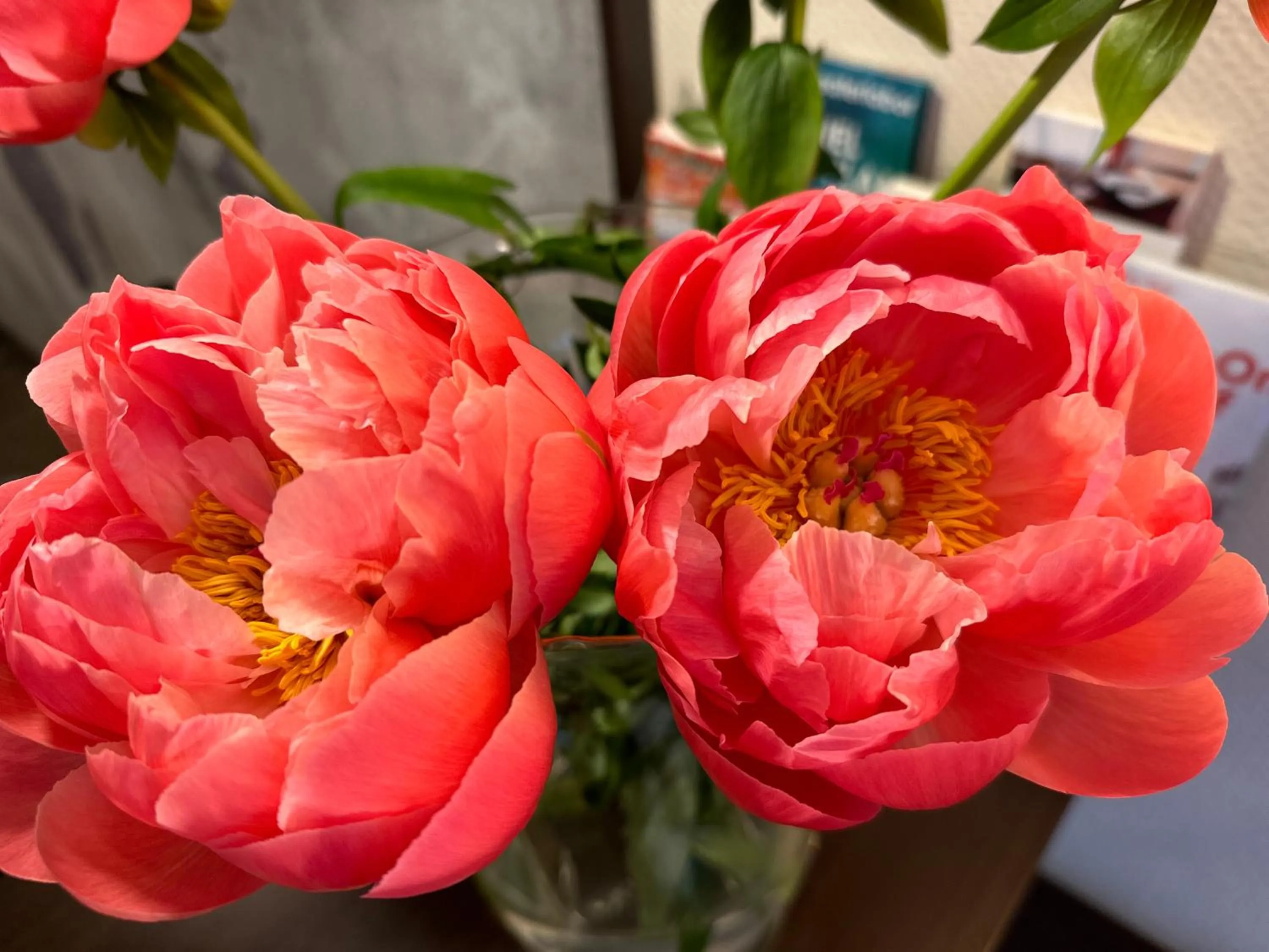 Lobby or reception in Hotel Cascade Superior