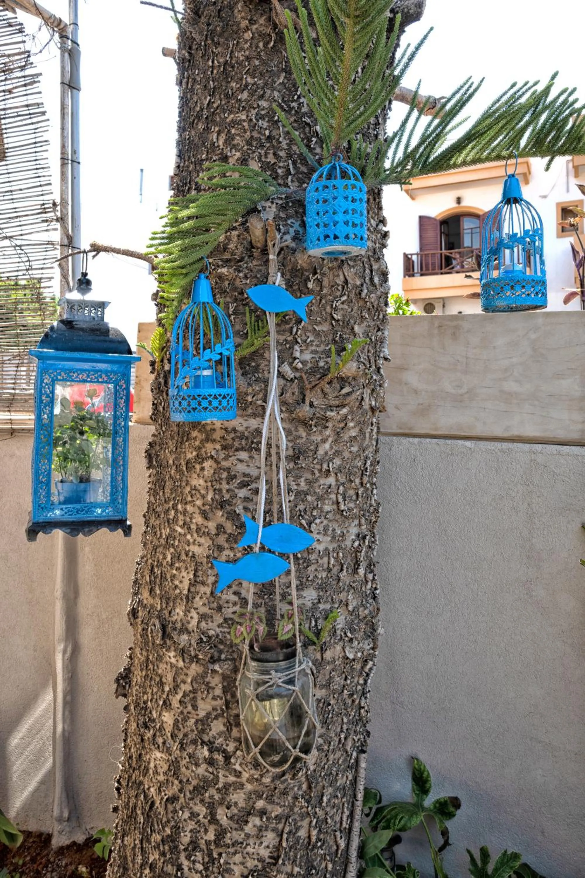 Garden in Alexandra Apartments