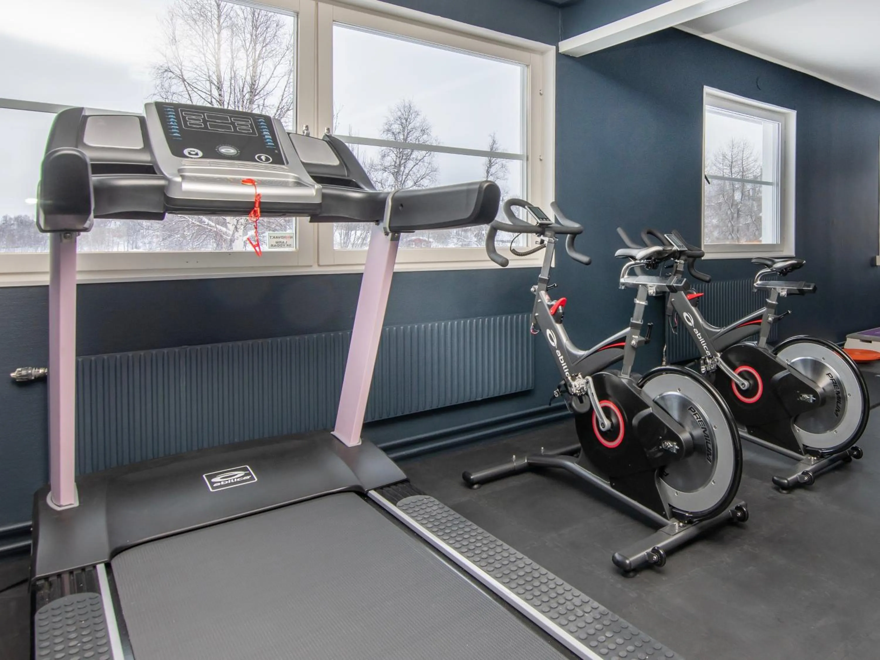 Fitness centre/facilities in Tärnaby Sporthotell