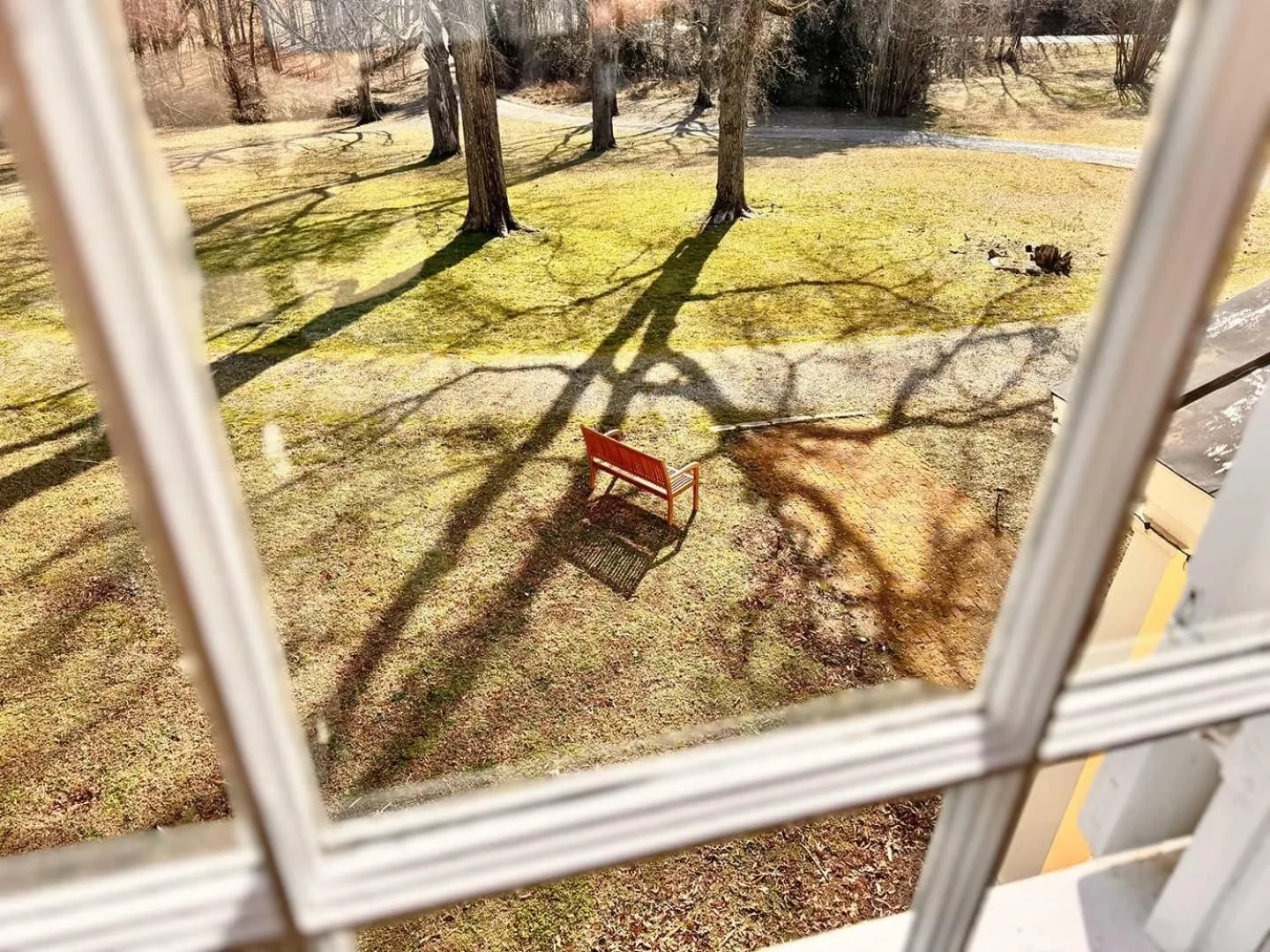 Garden in The Sunnyside Sisters Bed and Breakfast