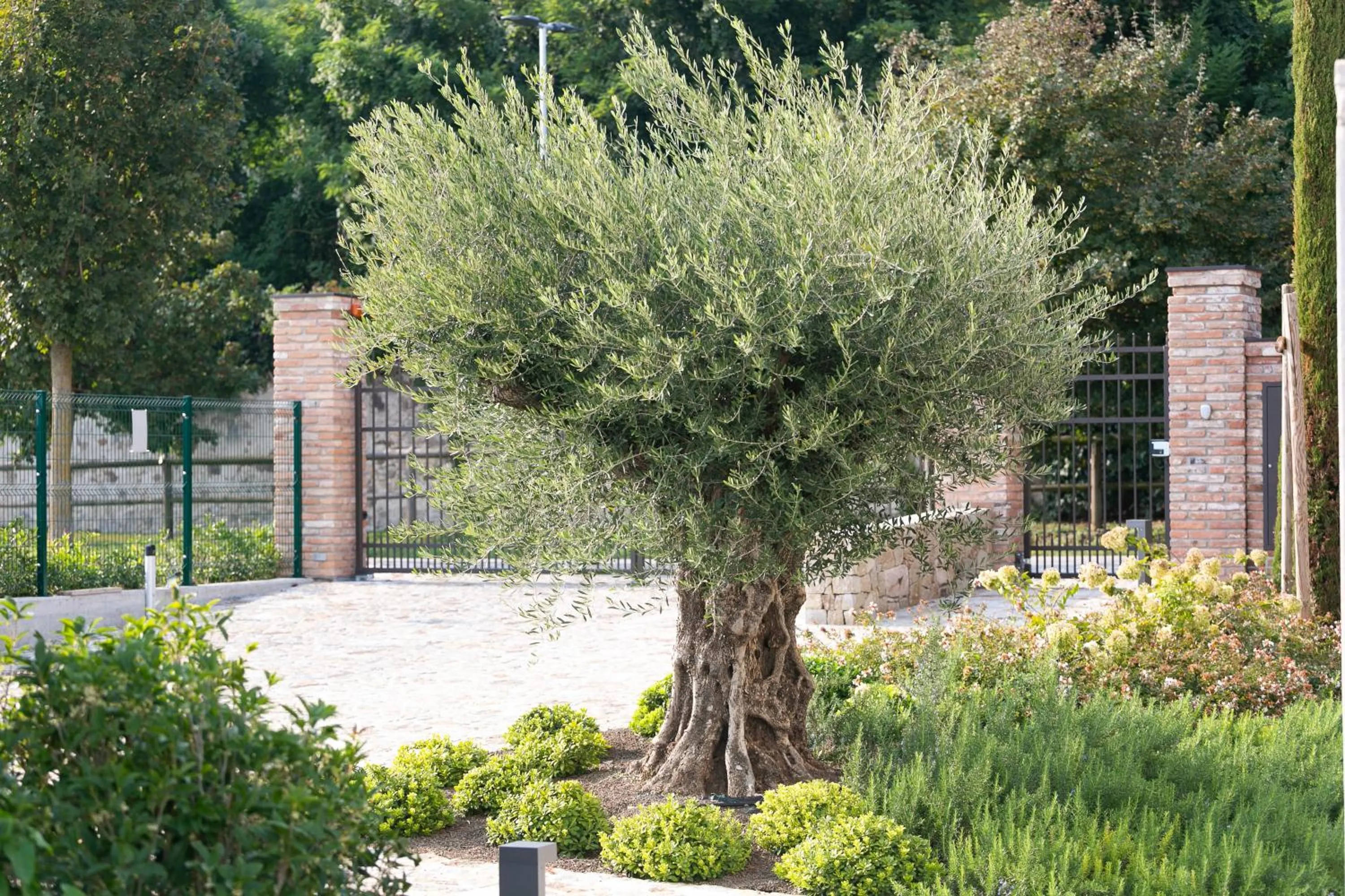 Garden in Casa Massaro Todeschini