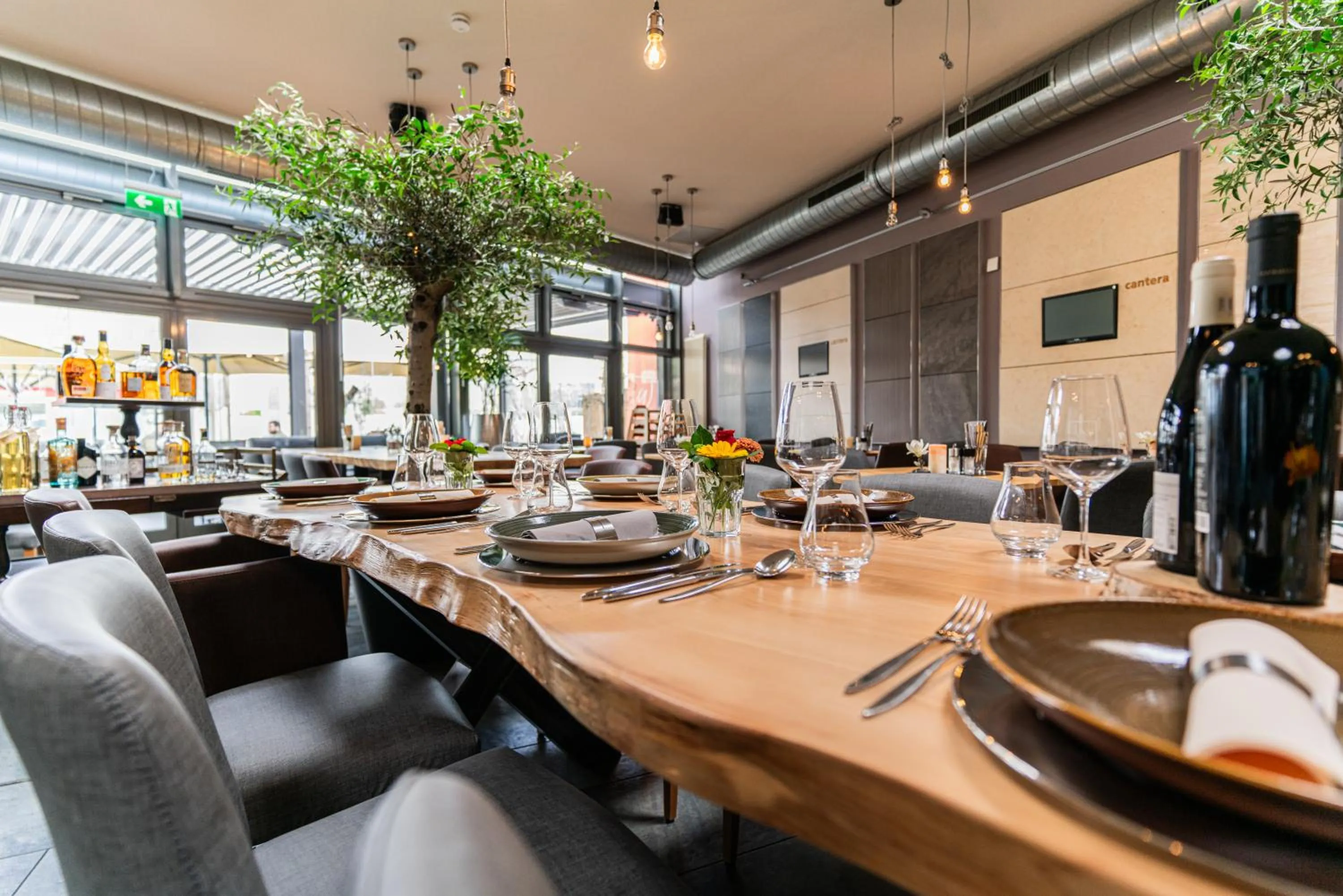 Restaurant/places to eat in cantera by Wiegand