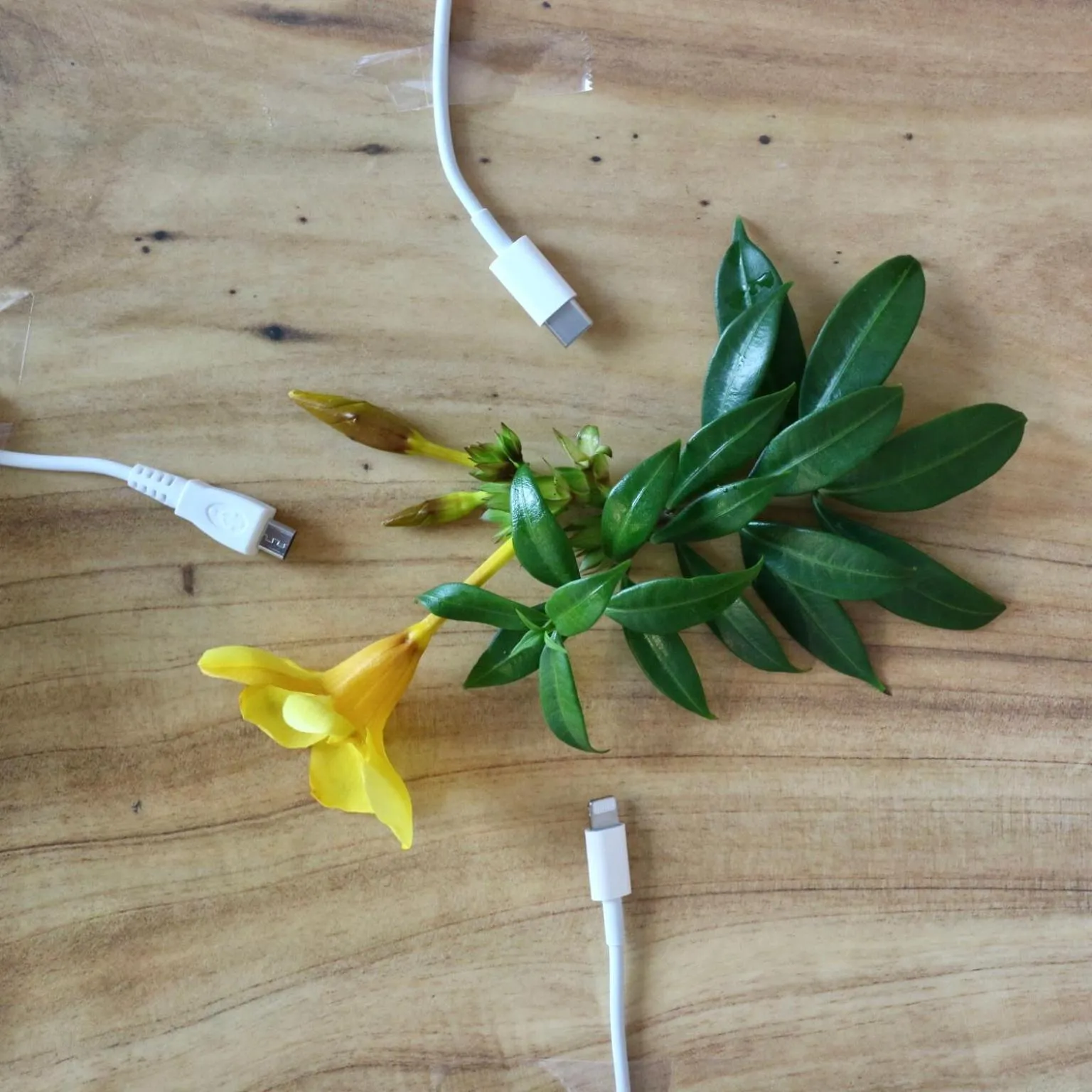 room service in Okinawa Hinode Resort and Hot Spring Hotel