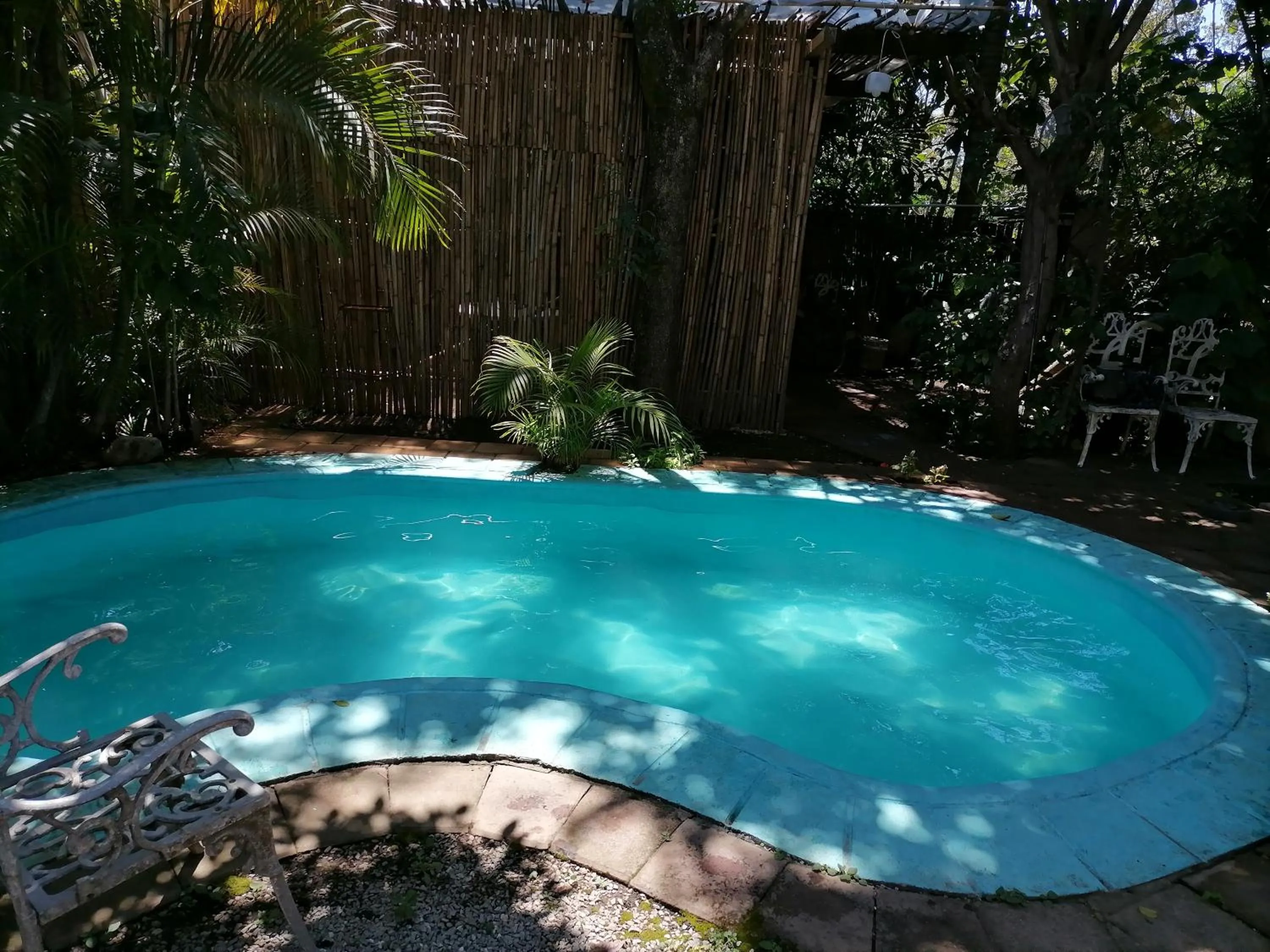 Pool view in Posada Bugambilias