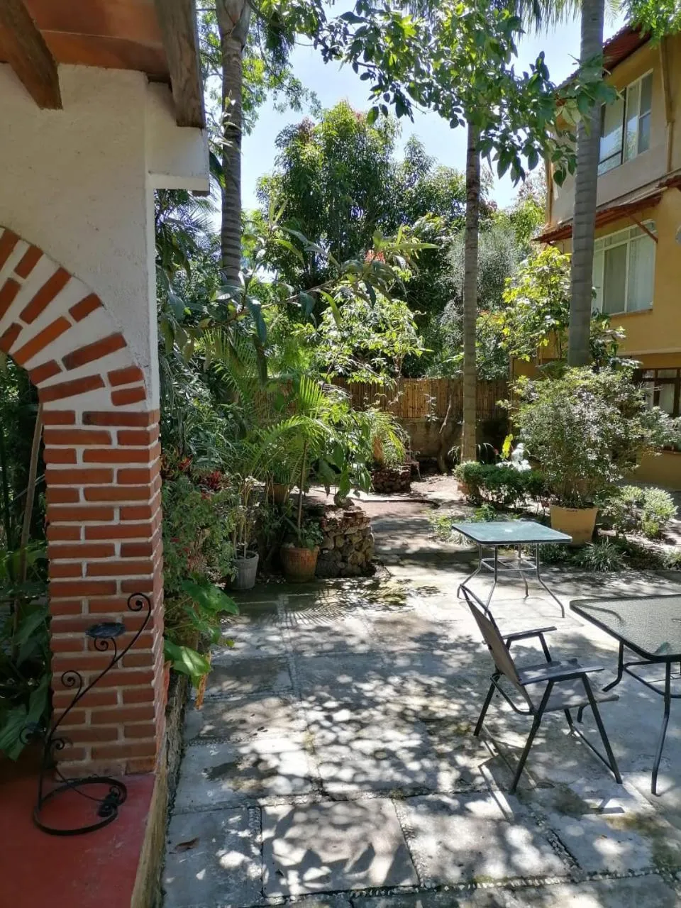 Patio in Posada Bugambilias