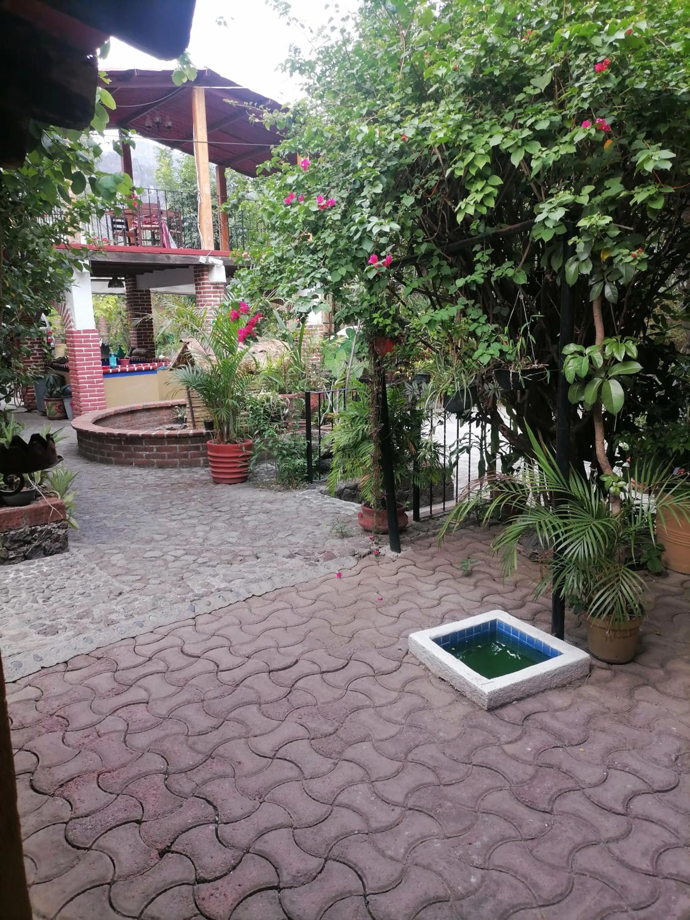 Patio in Posada Bugambilias