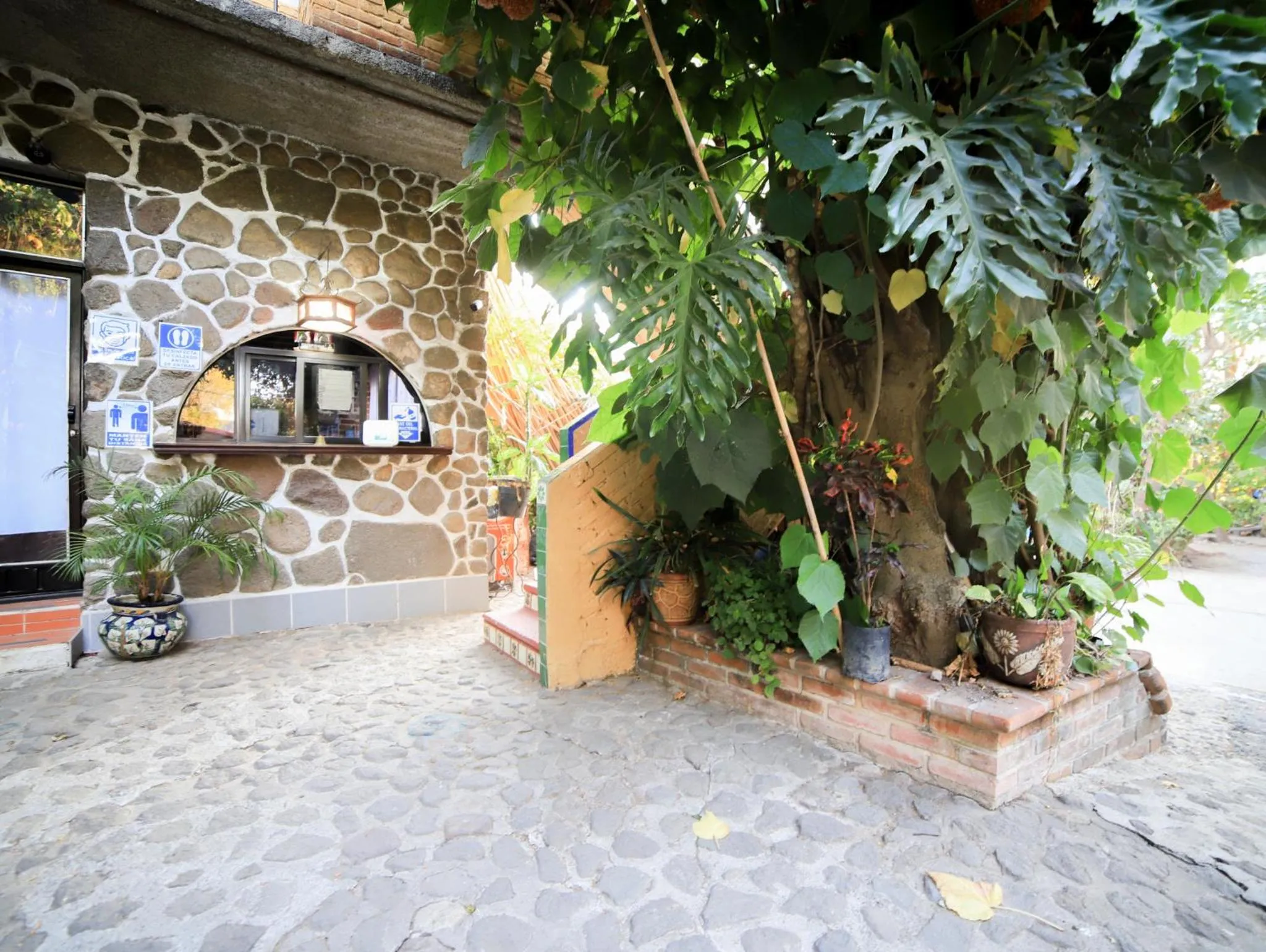 Patio in Posada Bugambilias