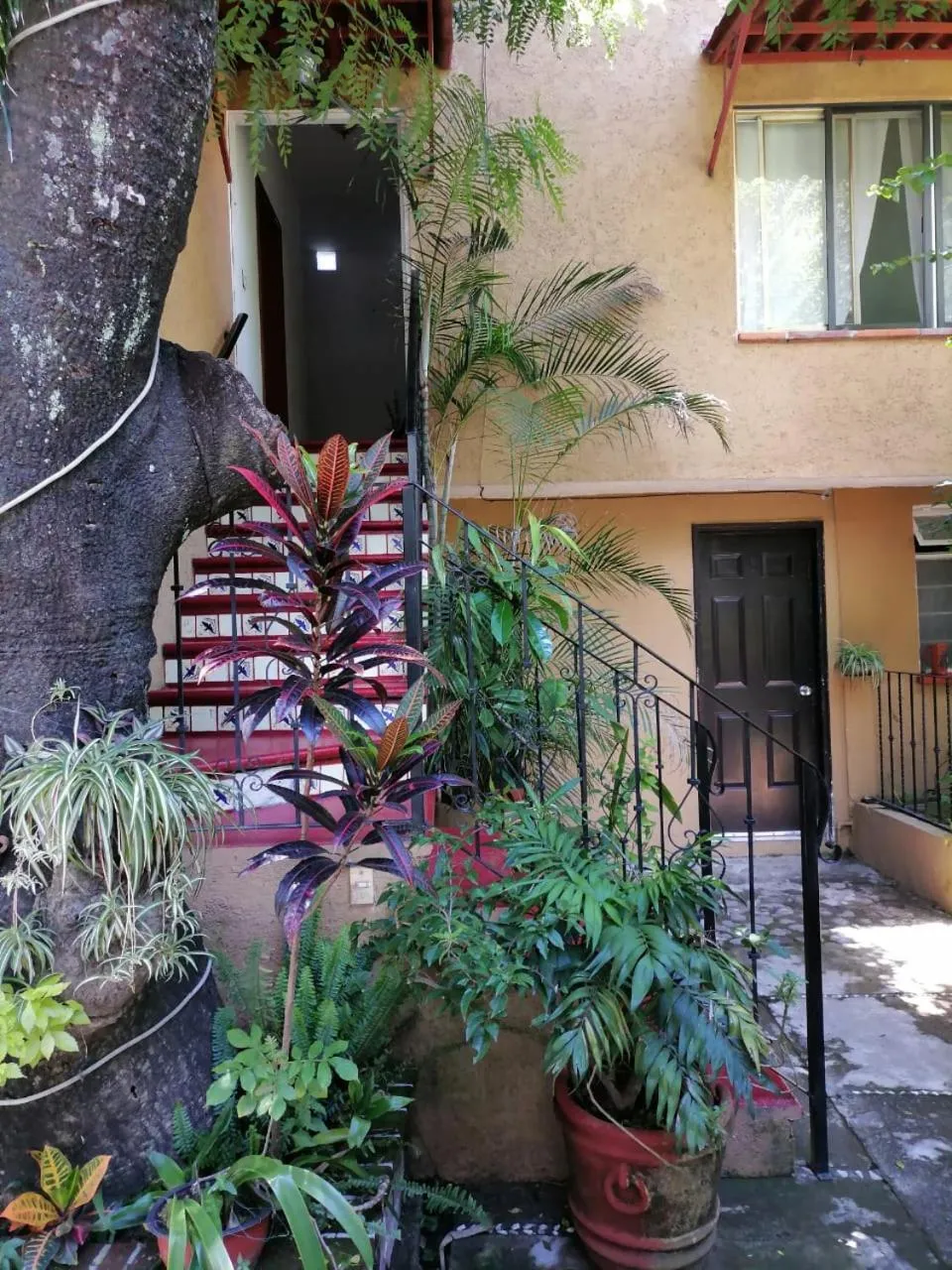 Facade/entrance in Posada Bugambilias