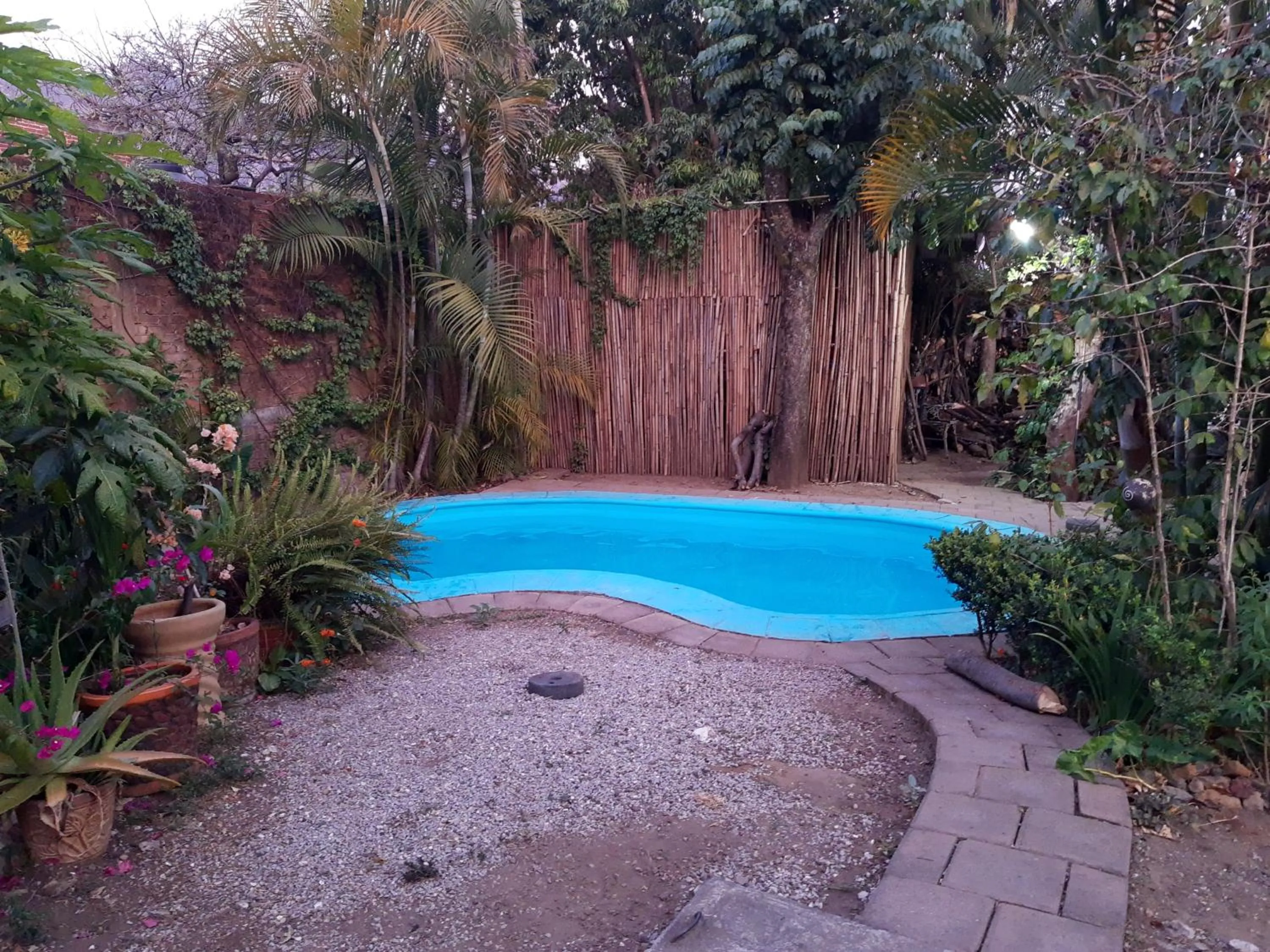 Swimming pool in Posada Bugambilias