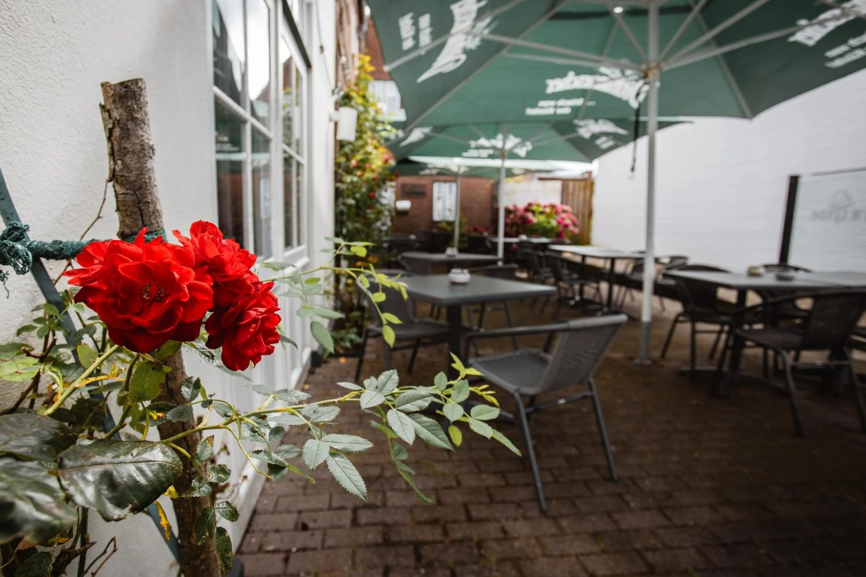 Balcony/Terrace in Hotel Zur Linde