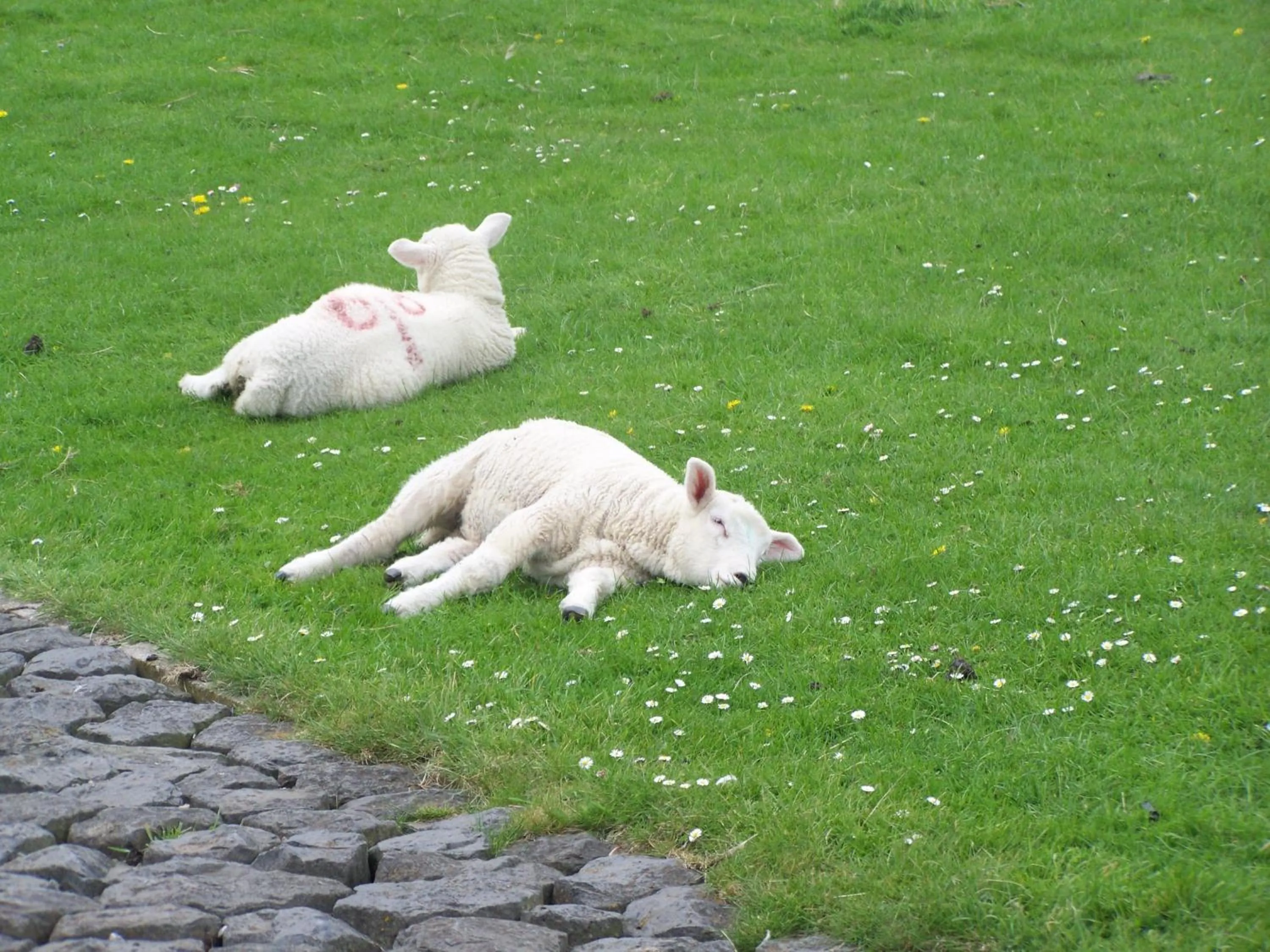 Beach in Hotel Zur Linde