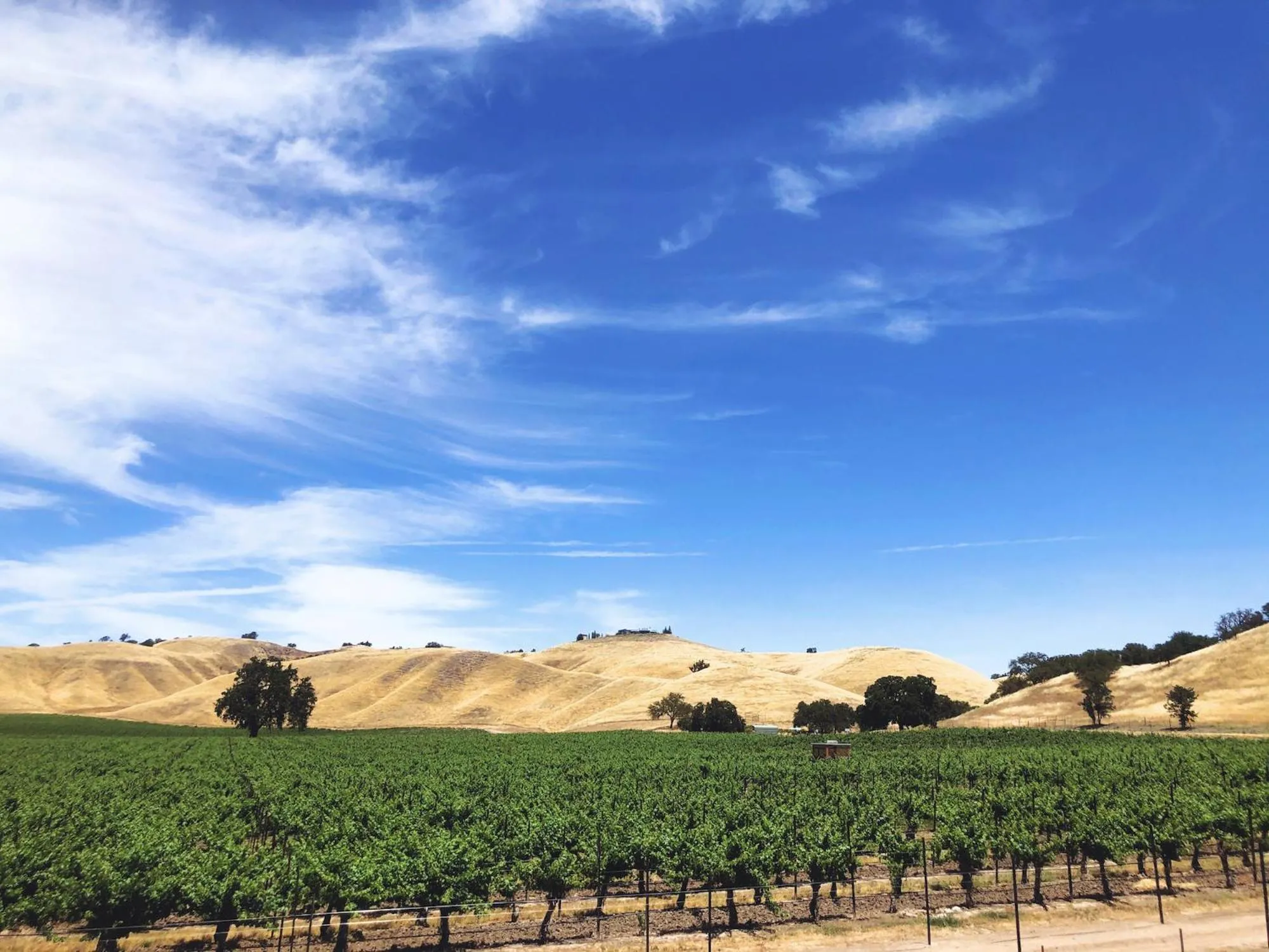 View (from property/room) in Geneseo Inn