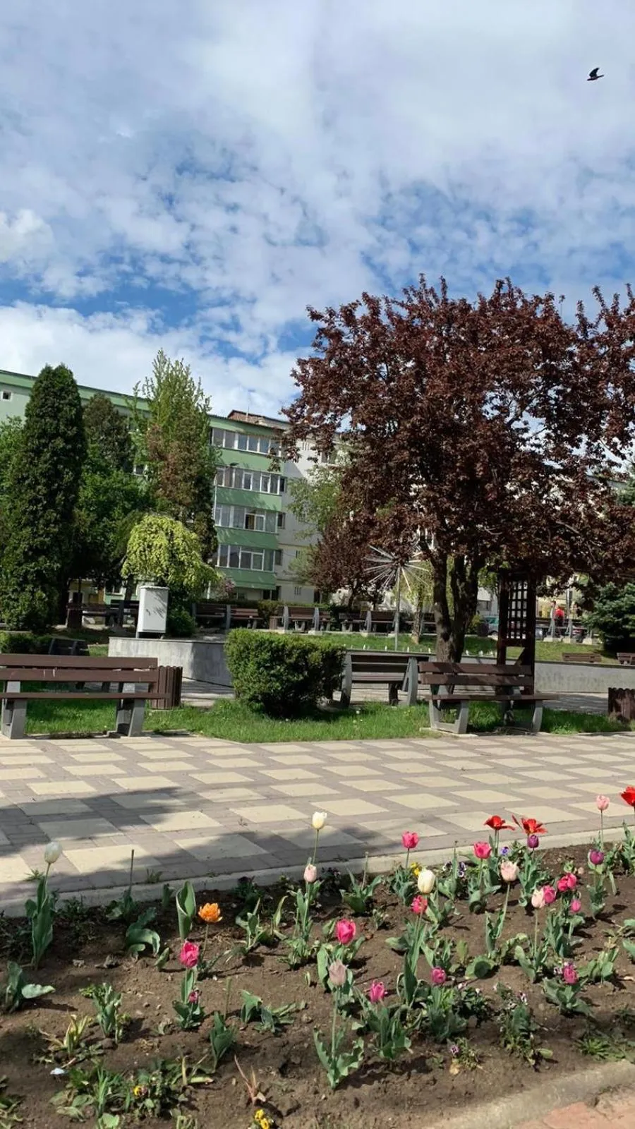 Natural landscape in Best Apartment City Hall