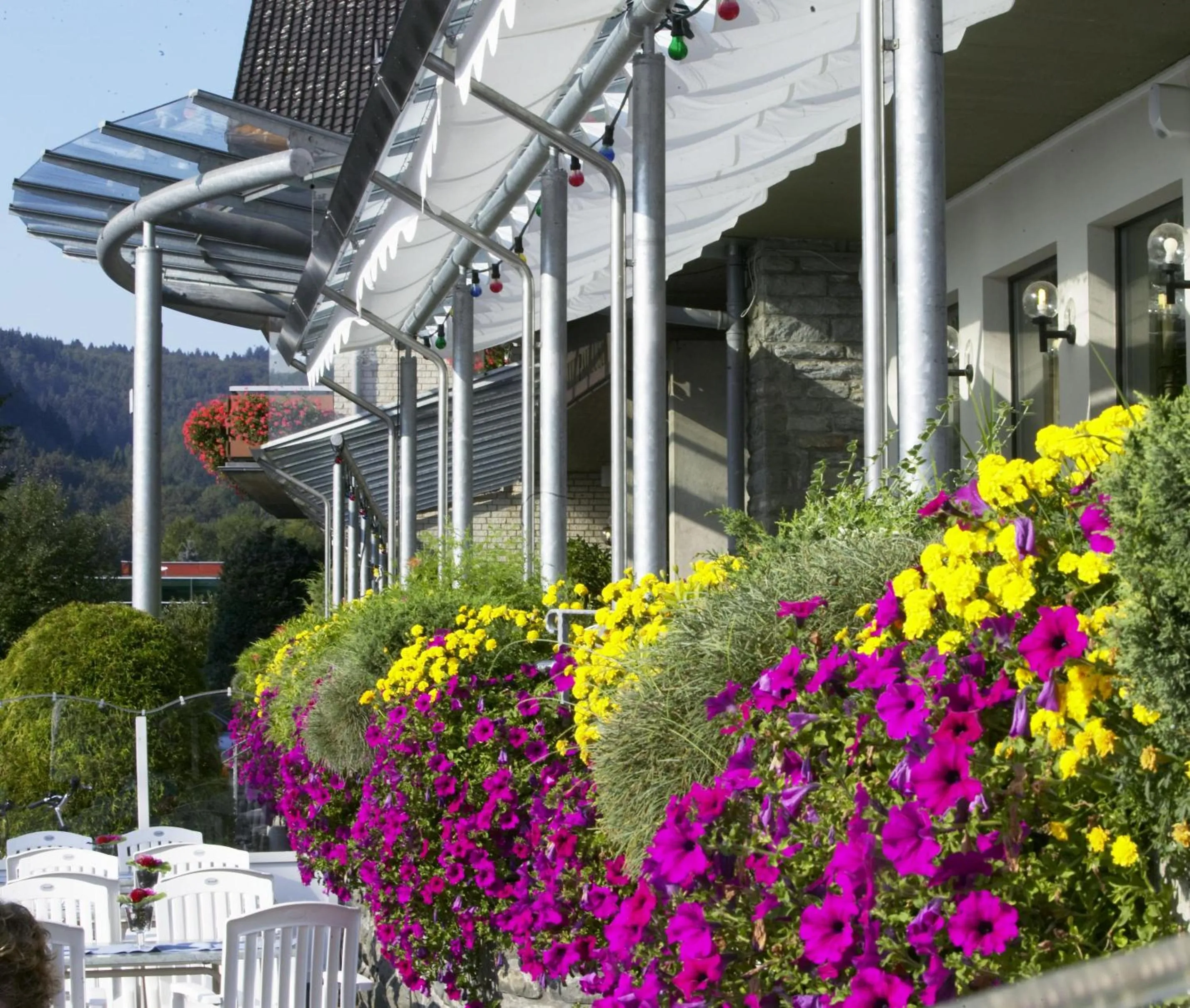 Property building in Hotel Paulushof