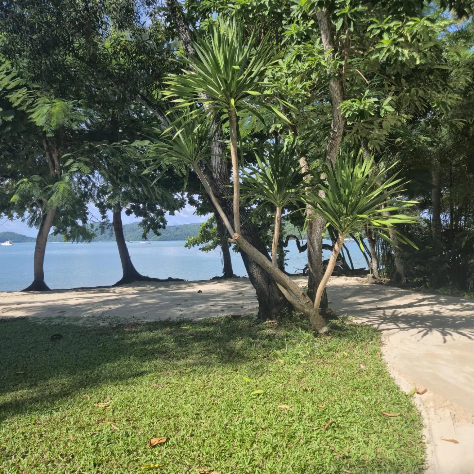 Beach in The Mooring Resort