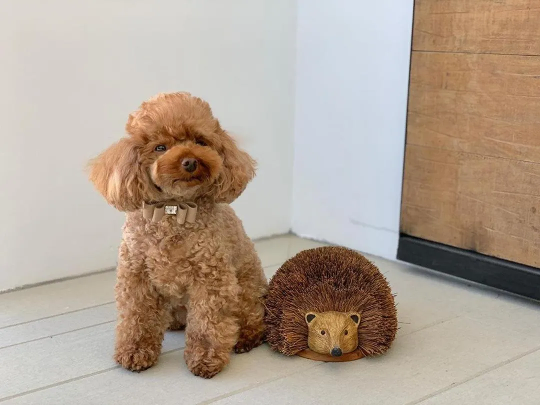 Decorative detail in The Mooring Resort