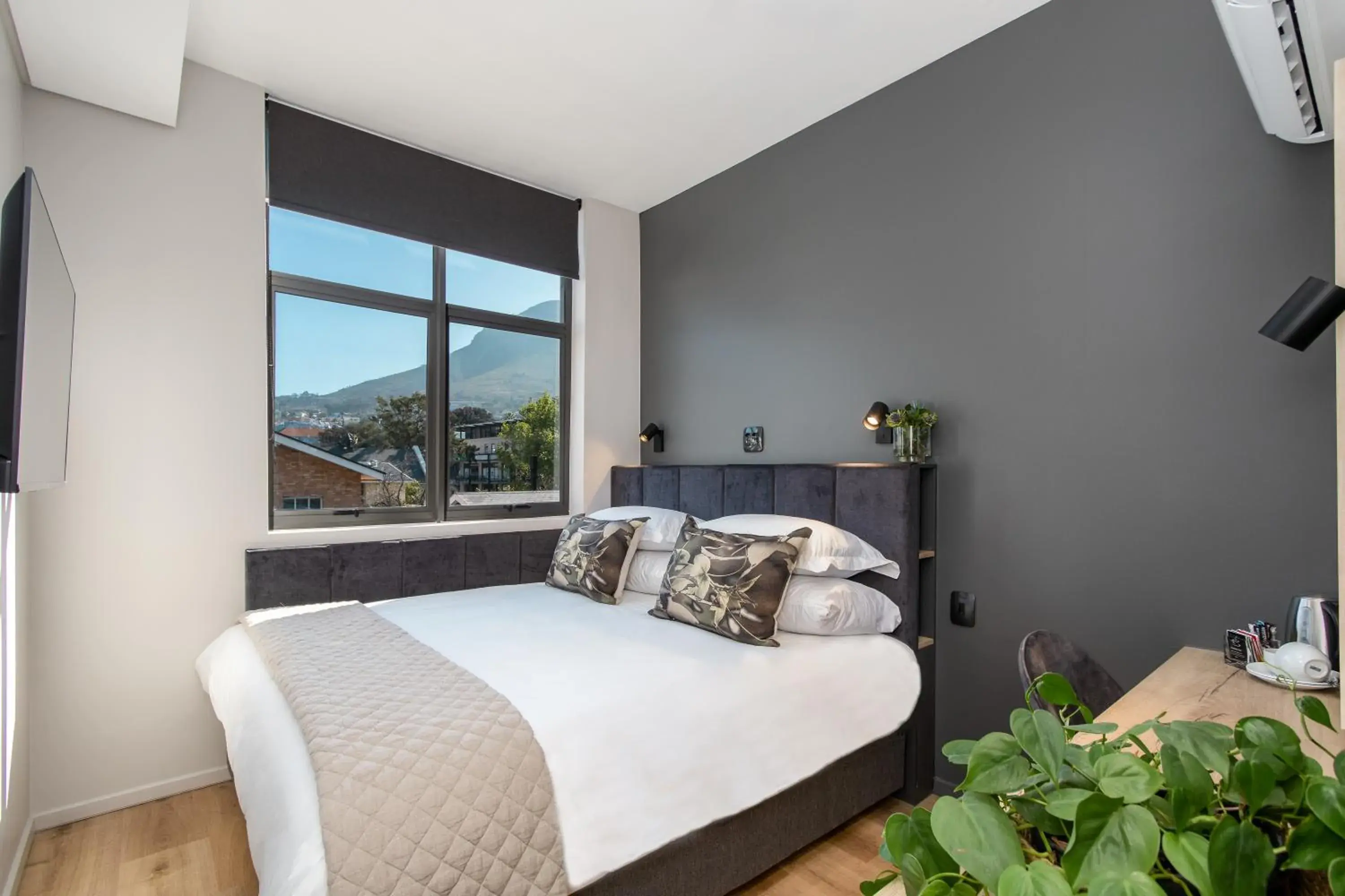 Economy Room with Mountain View in Kloof Street Hotel - Lion Roars Hotels & Lodges Economy Room with Mountain View in Kloof Street Hotel - Lion Roars Hotels & Lodges