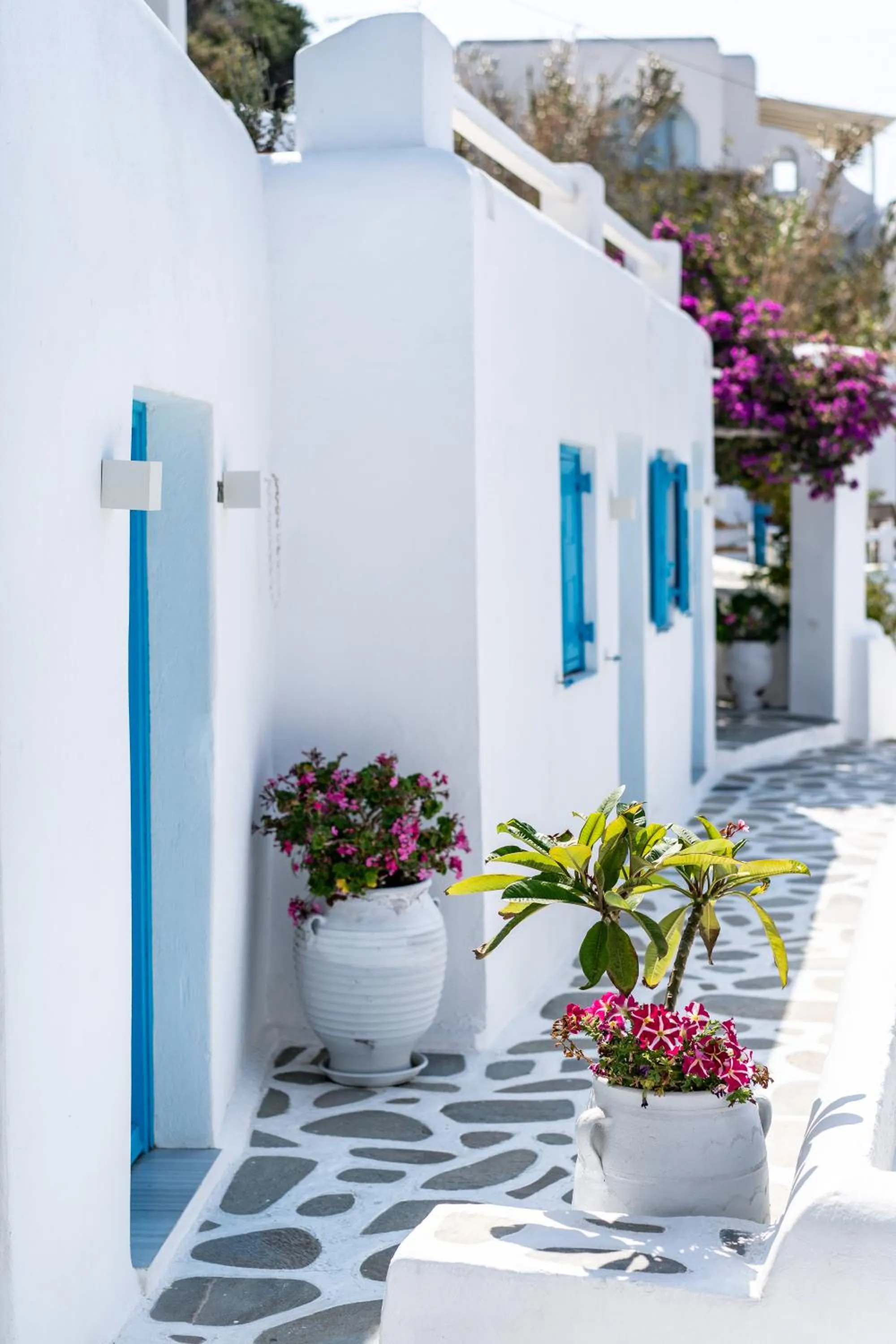 Property building in Hotel Madalena