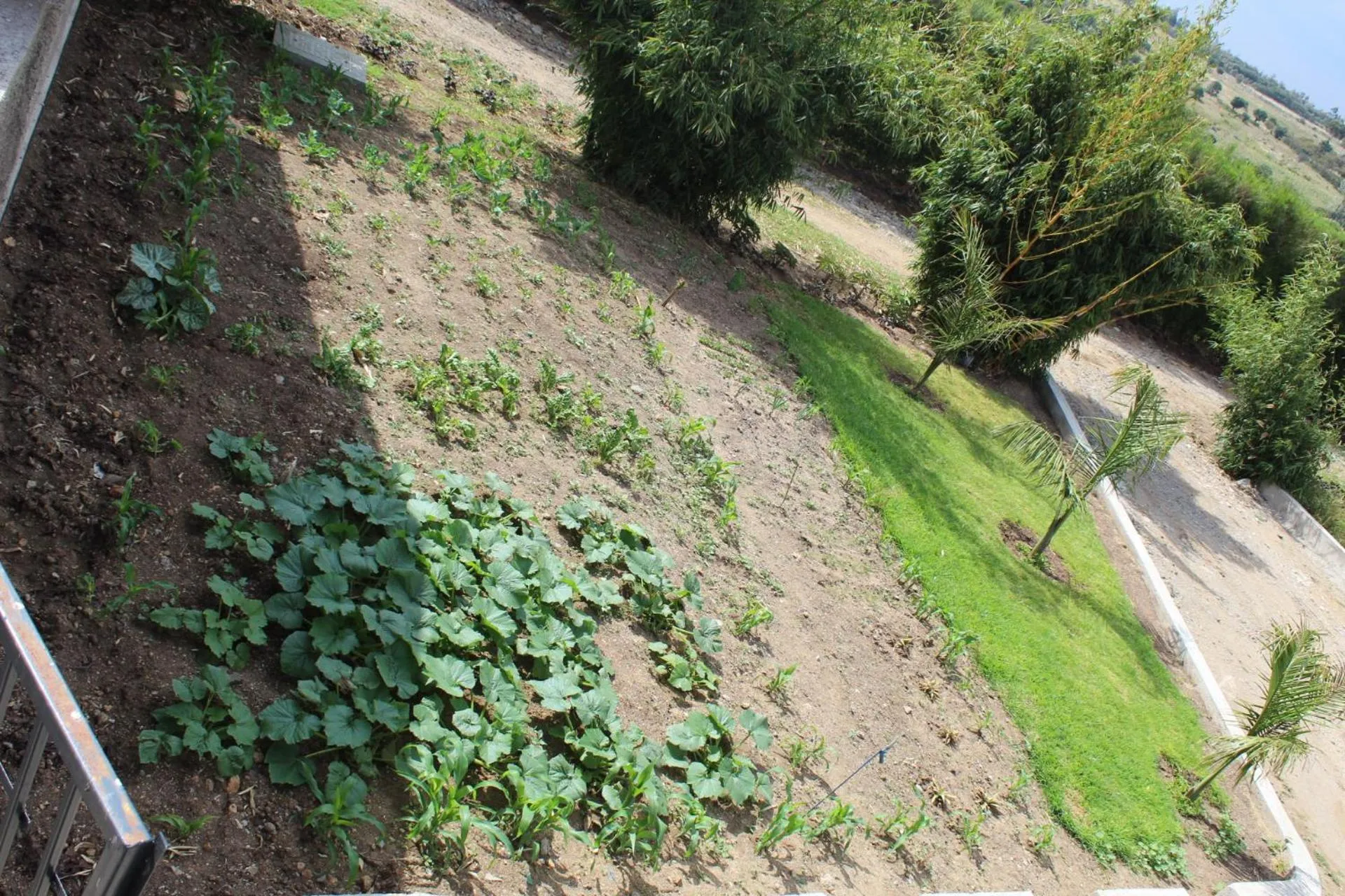 Property building in Mtoni Resort, Naro moru