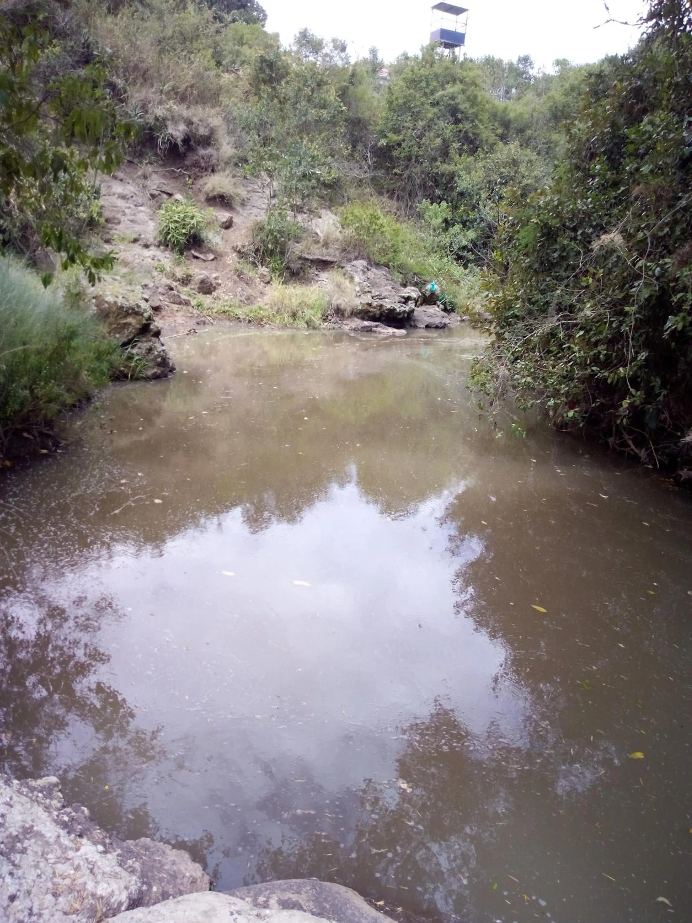 River view in Mtoni Resort, Naro moru