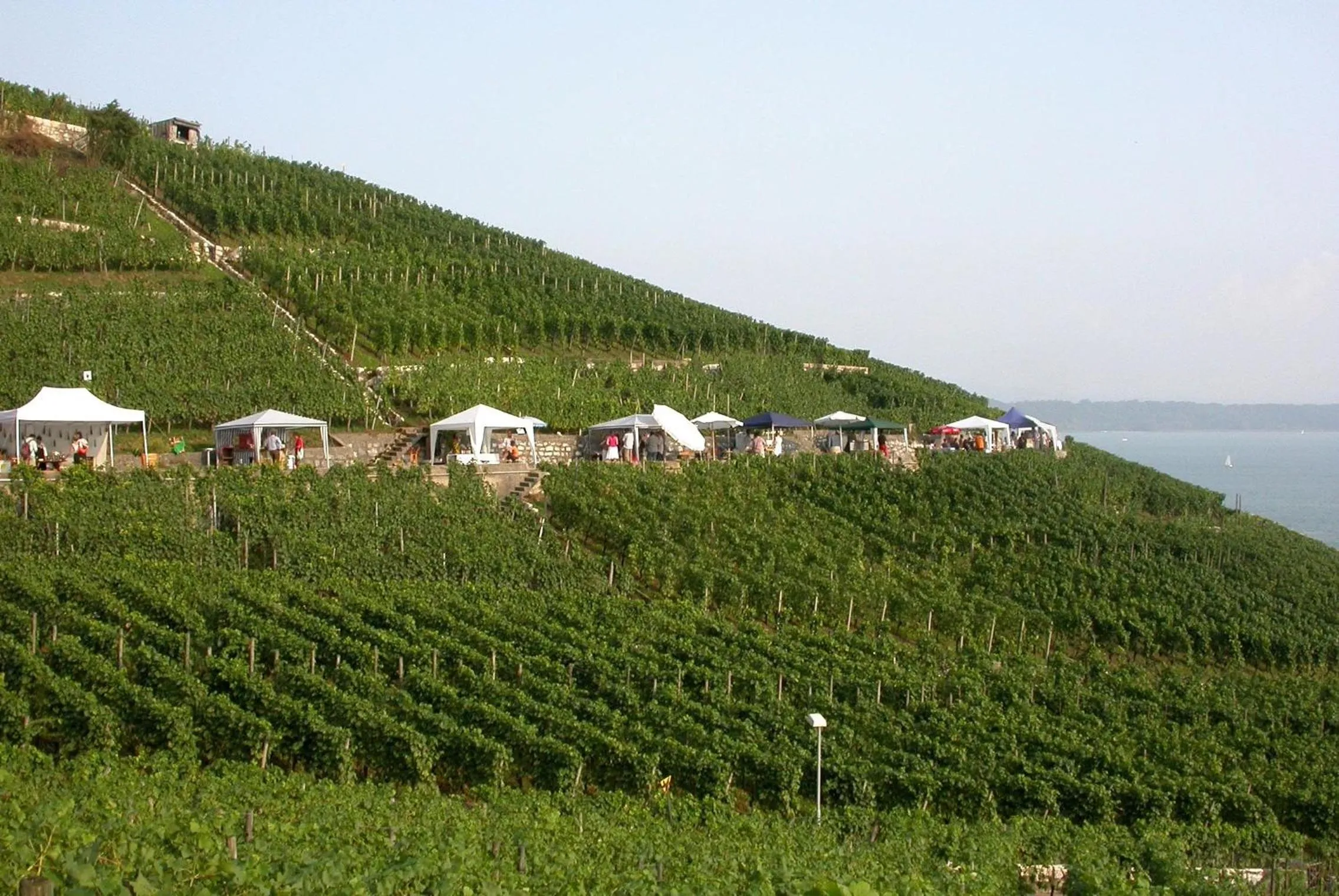Mountain view in Fontana Garni