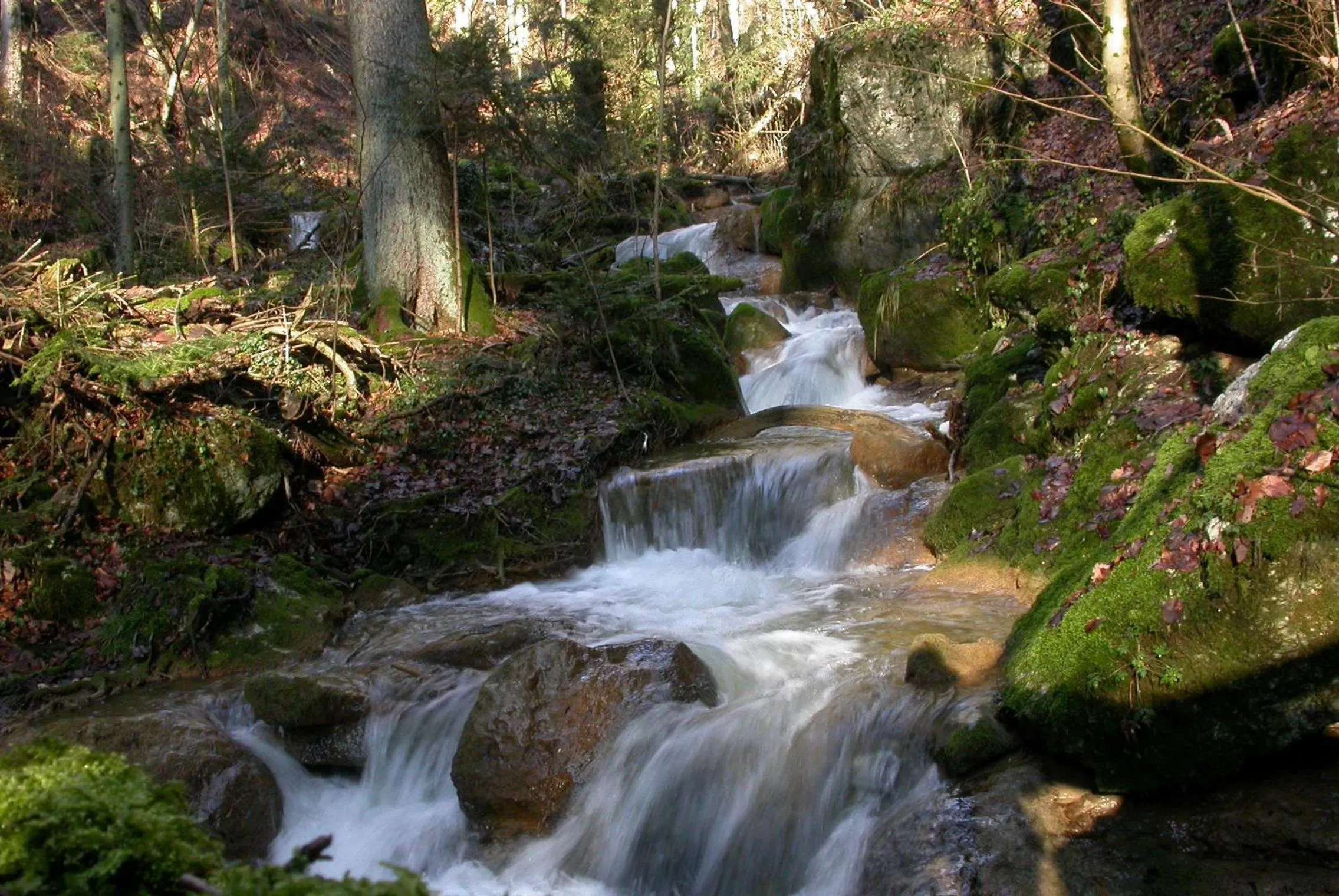 Hiking in Fontana Garni