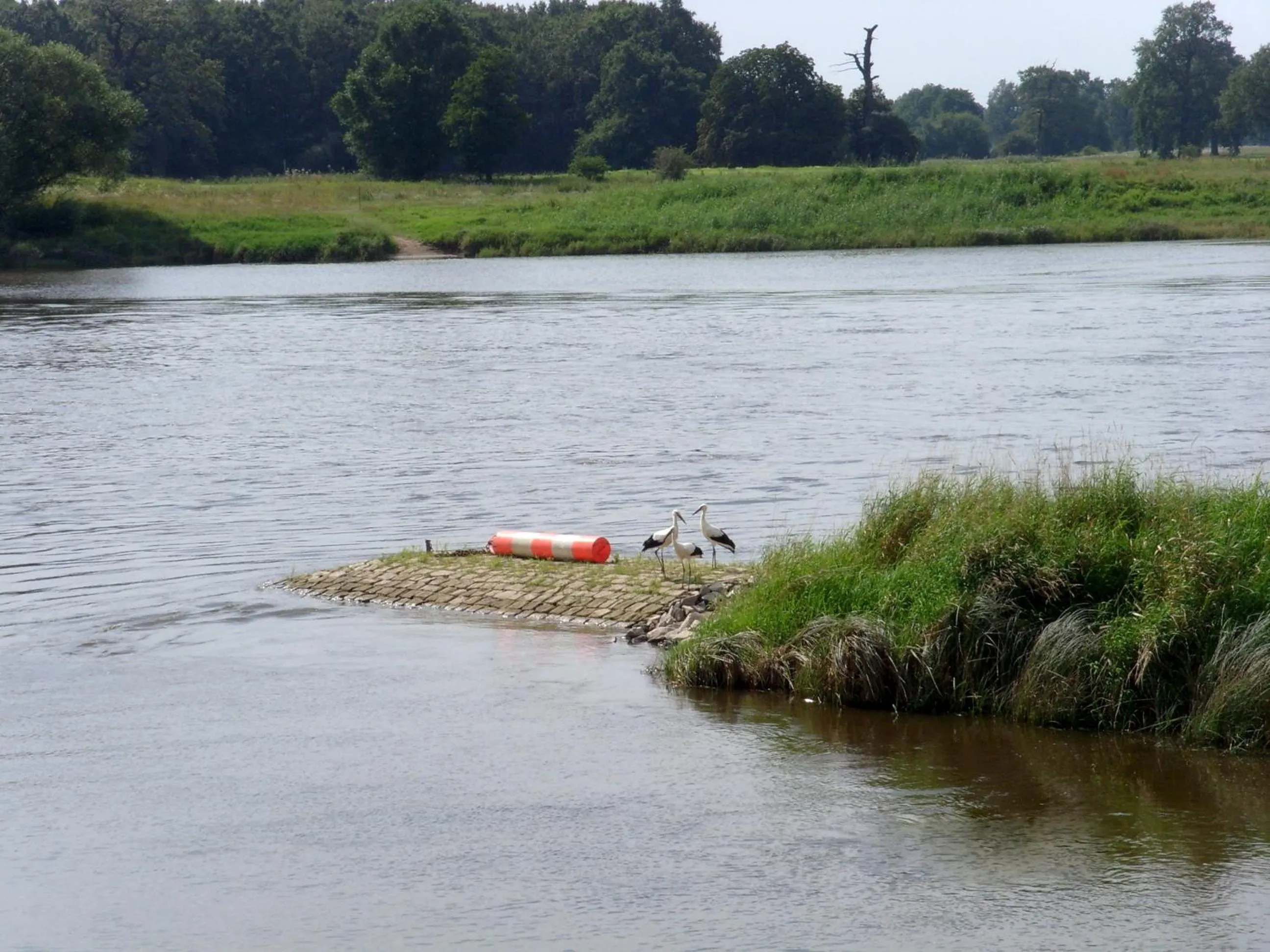 View (from property/room) in Elbterrassen zu Brambach