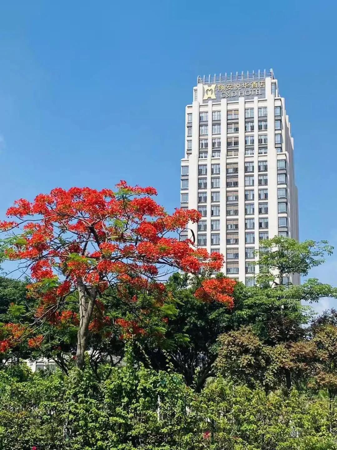 Property building in C&D Hotel,Xiamen Xiang'an-Late Check Out & Free Welcome Snacks