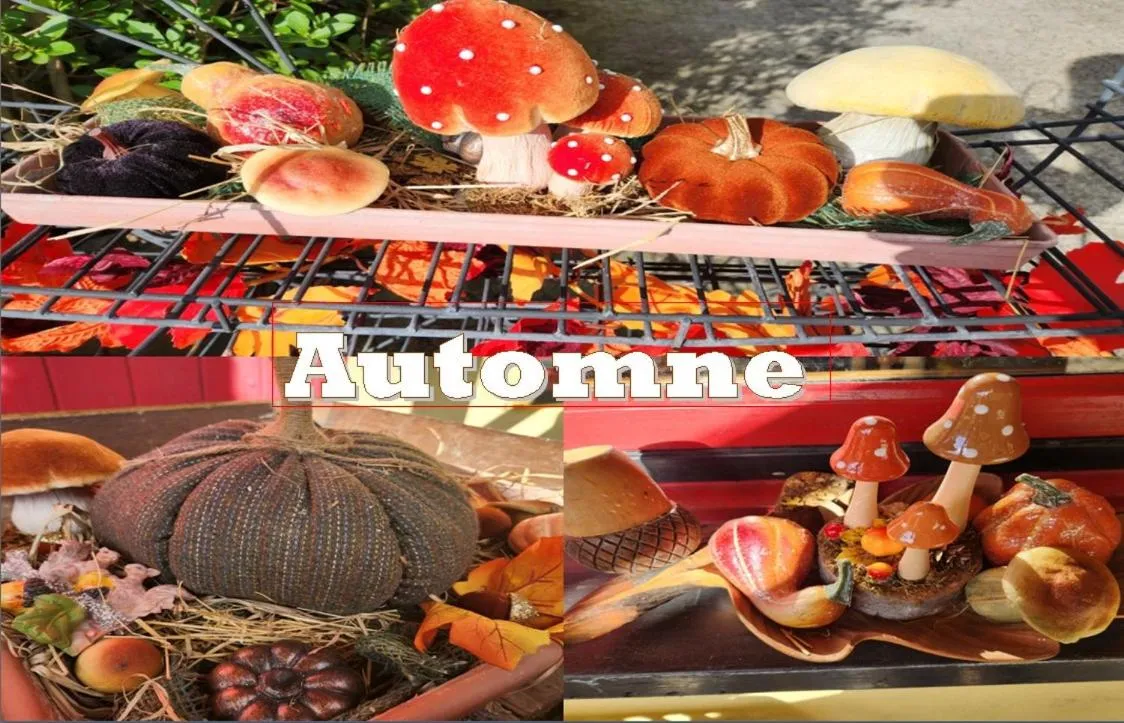 Autumn in Gîte et chambres d'hôtes Les Framboises